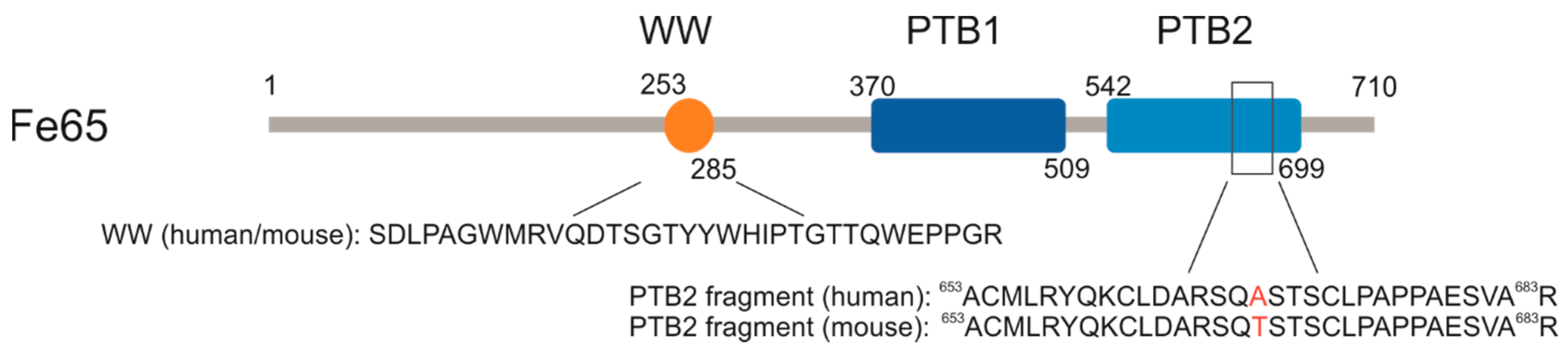 Ijms 20 03050 g001 Ijms 20 03050 g001