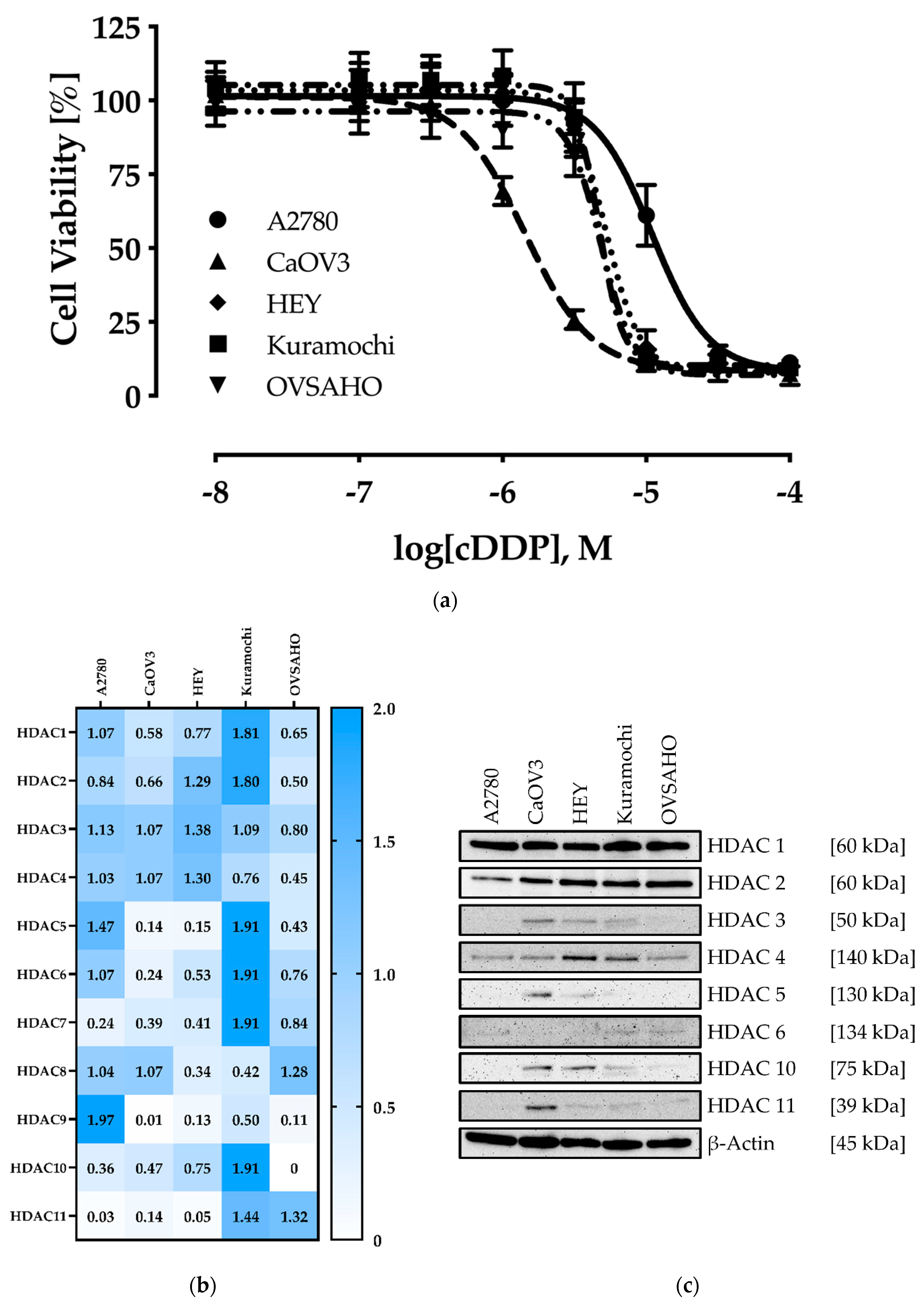 Ijms 20 03052 g001 Ijms 20 03052 g001