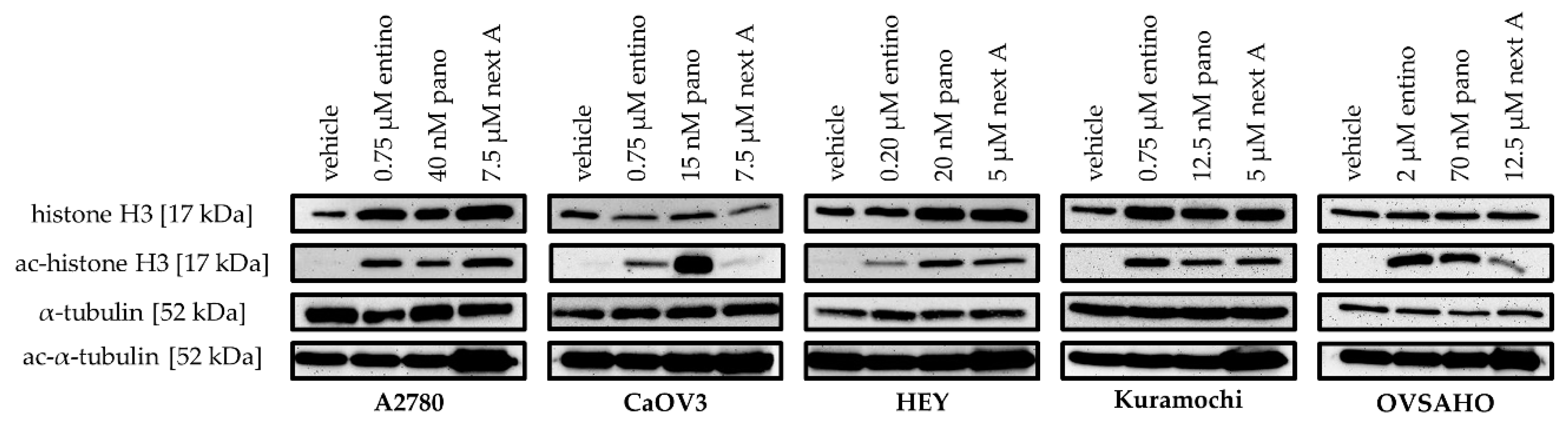 Ijms 20 03052 g002 Ijms 20 03052 g002
