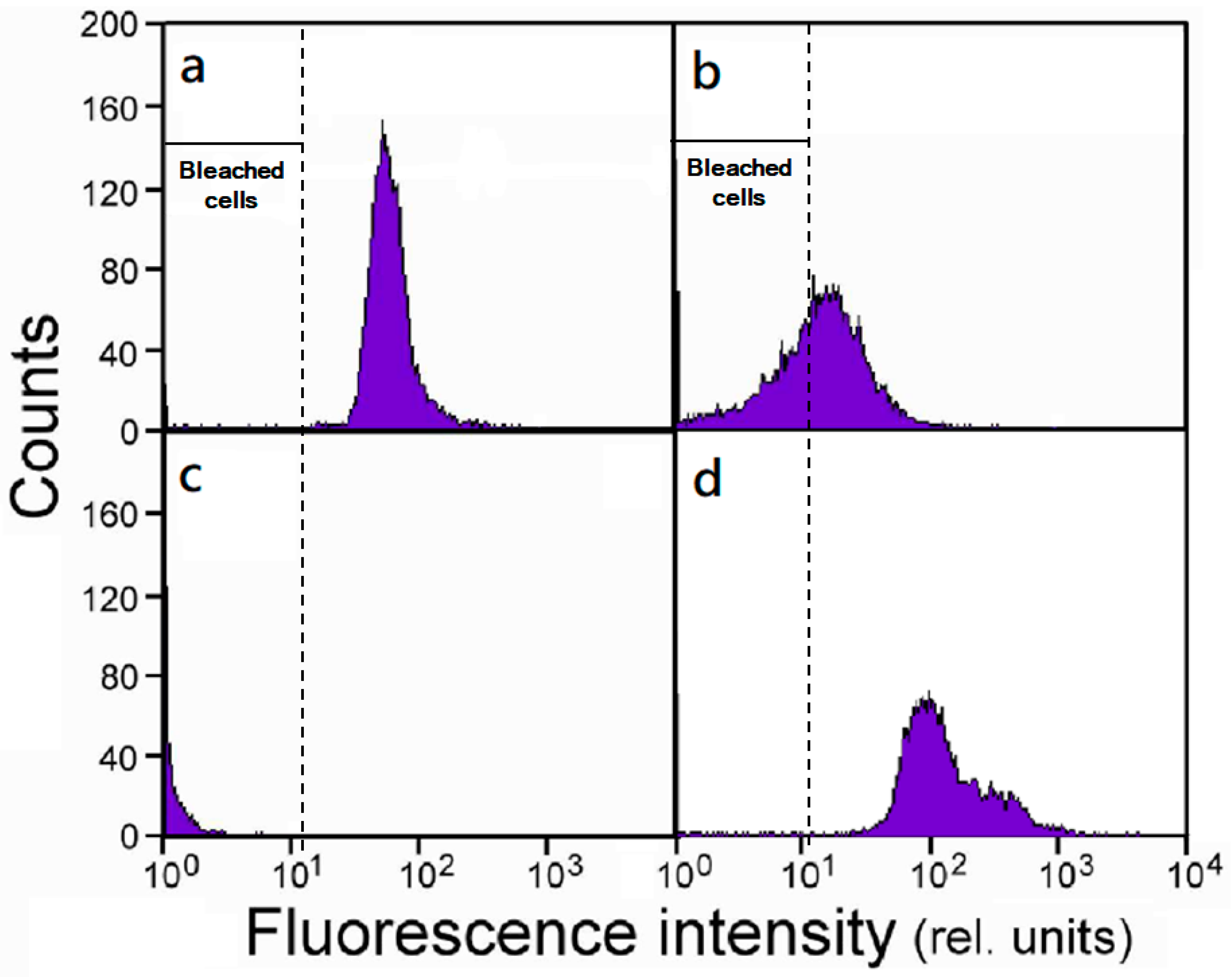 Ijms 20 03082 g001 Ijms 20 03082 g001