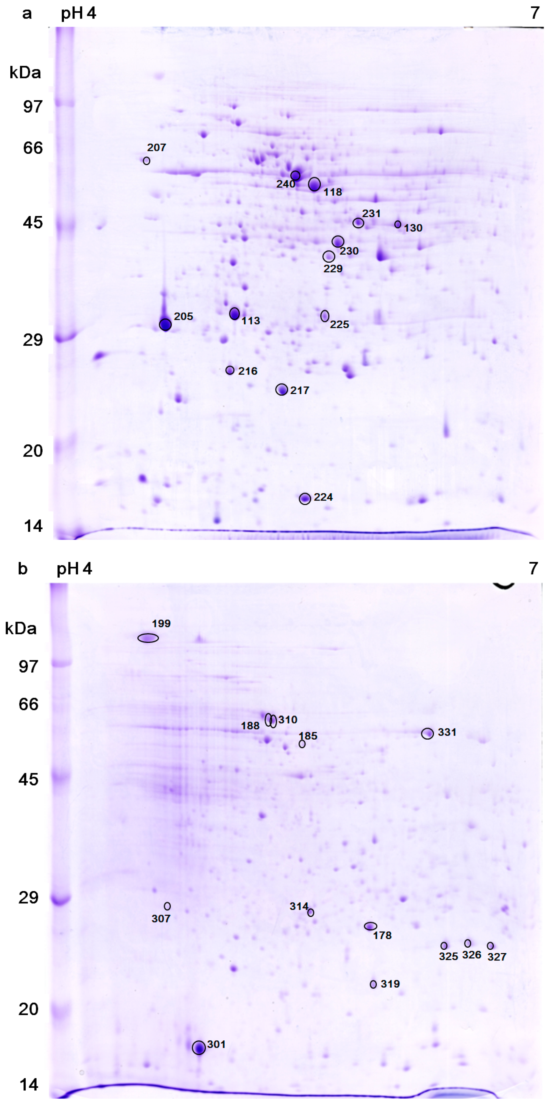 Ijms 20 03082 g003 Ijms 20 03082 g003