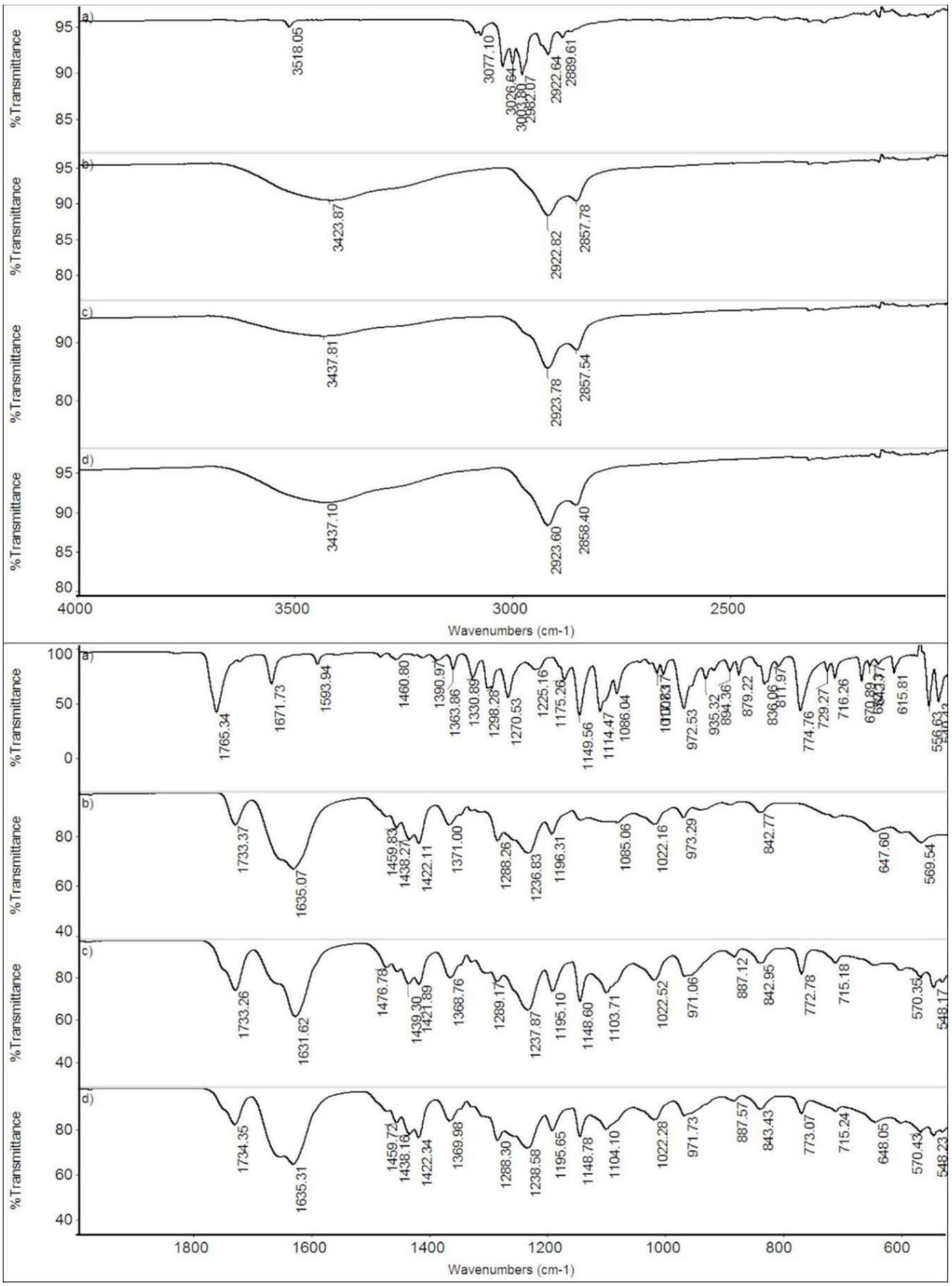 Ijms 20 03084 g006 550