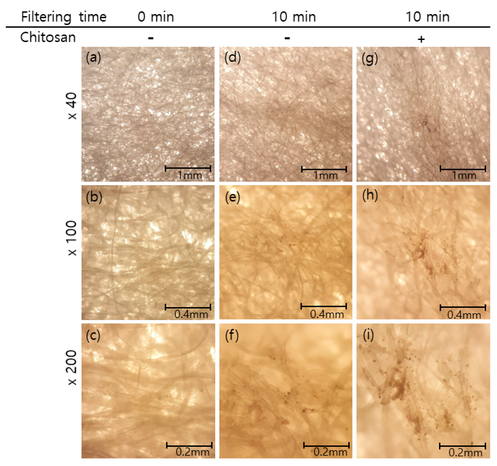 Ijms 20 03085 g005 Ijms 20 03085 g005