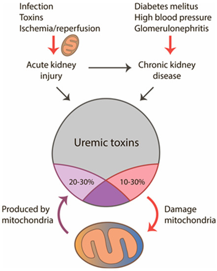 uremic toxins: classification)