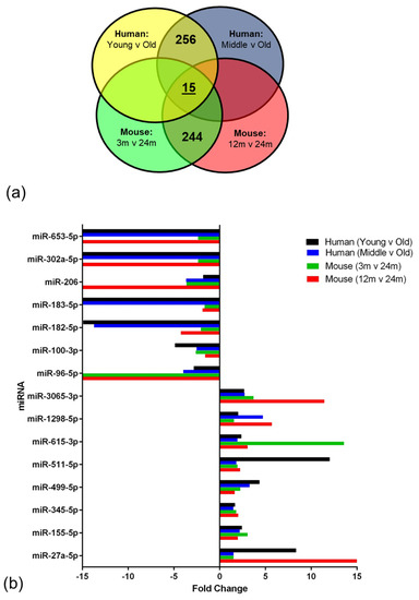 Age-Associated mRNA and miRNA Expression Changes in the Blood-Brain Barrier