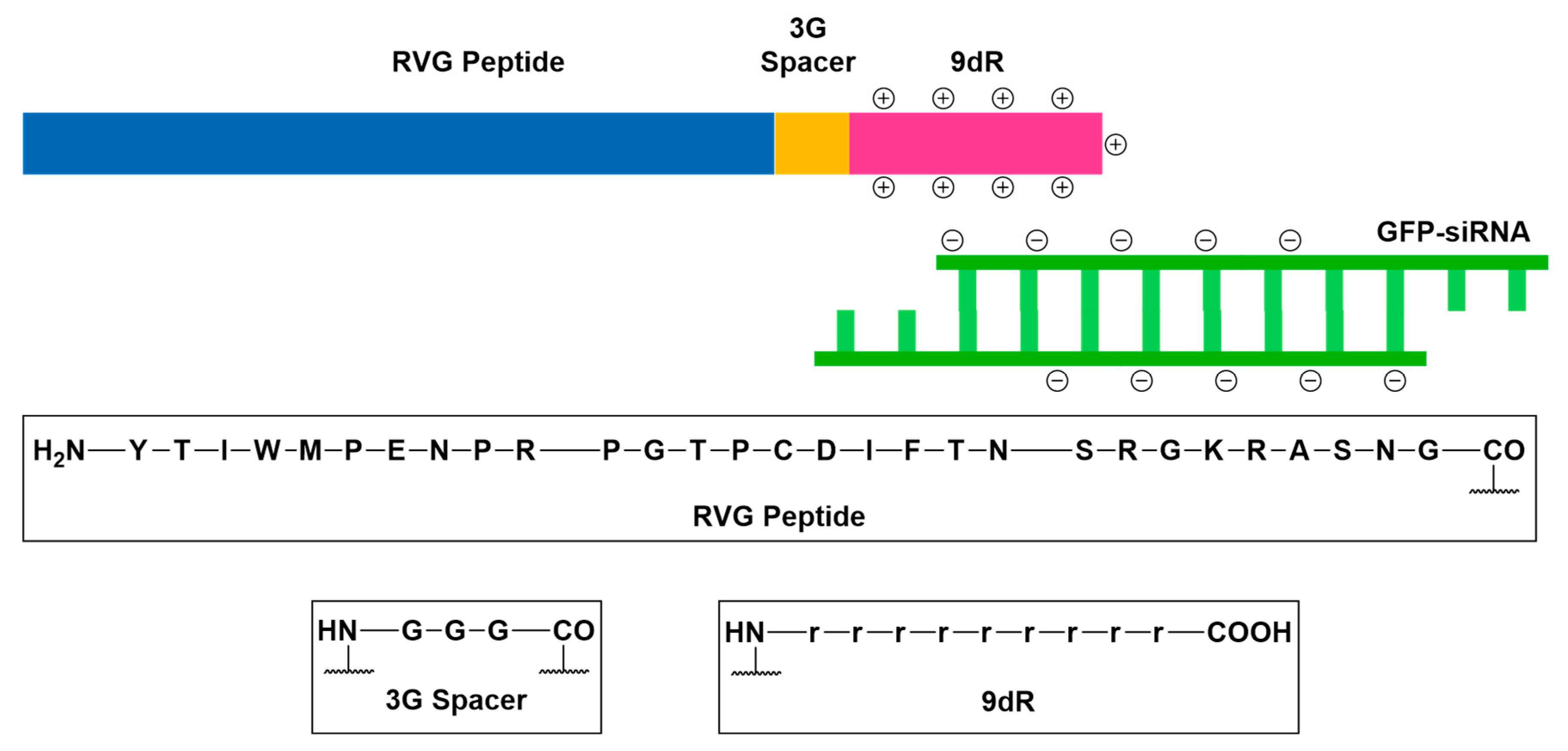 Ijms Free Full Text Approaches To Cns Drug Delivery With A Focus On Transporter Mediated Transcytosis Html