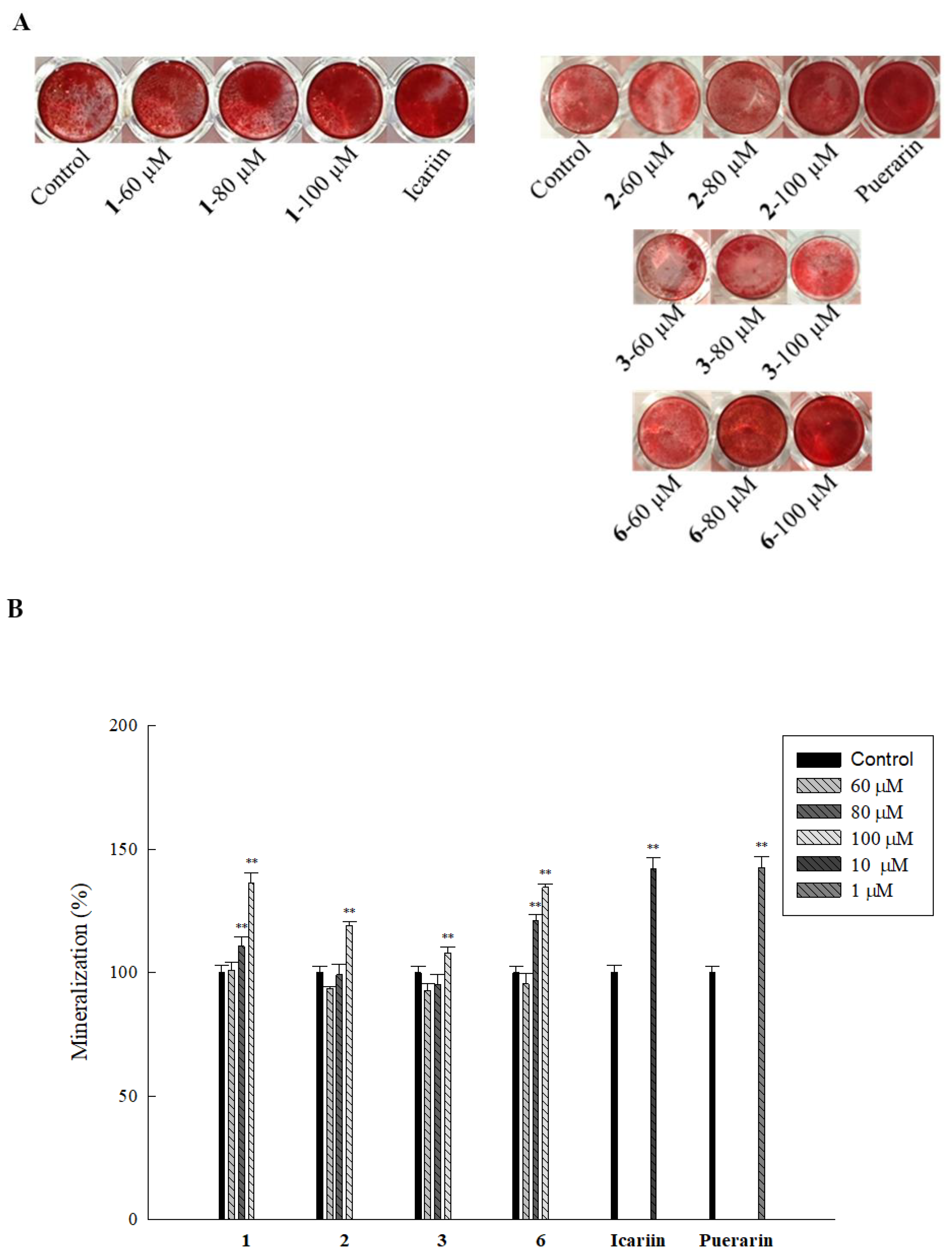 Ijms 20 03119 g003 Ijms 20 03119 g003