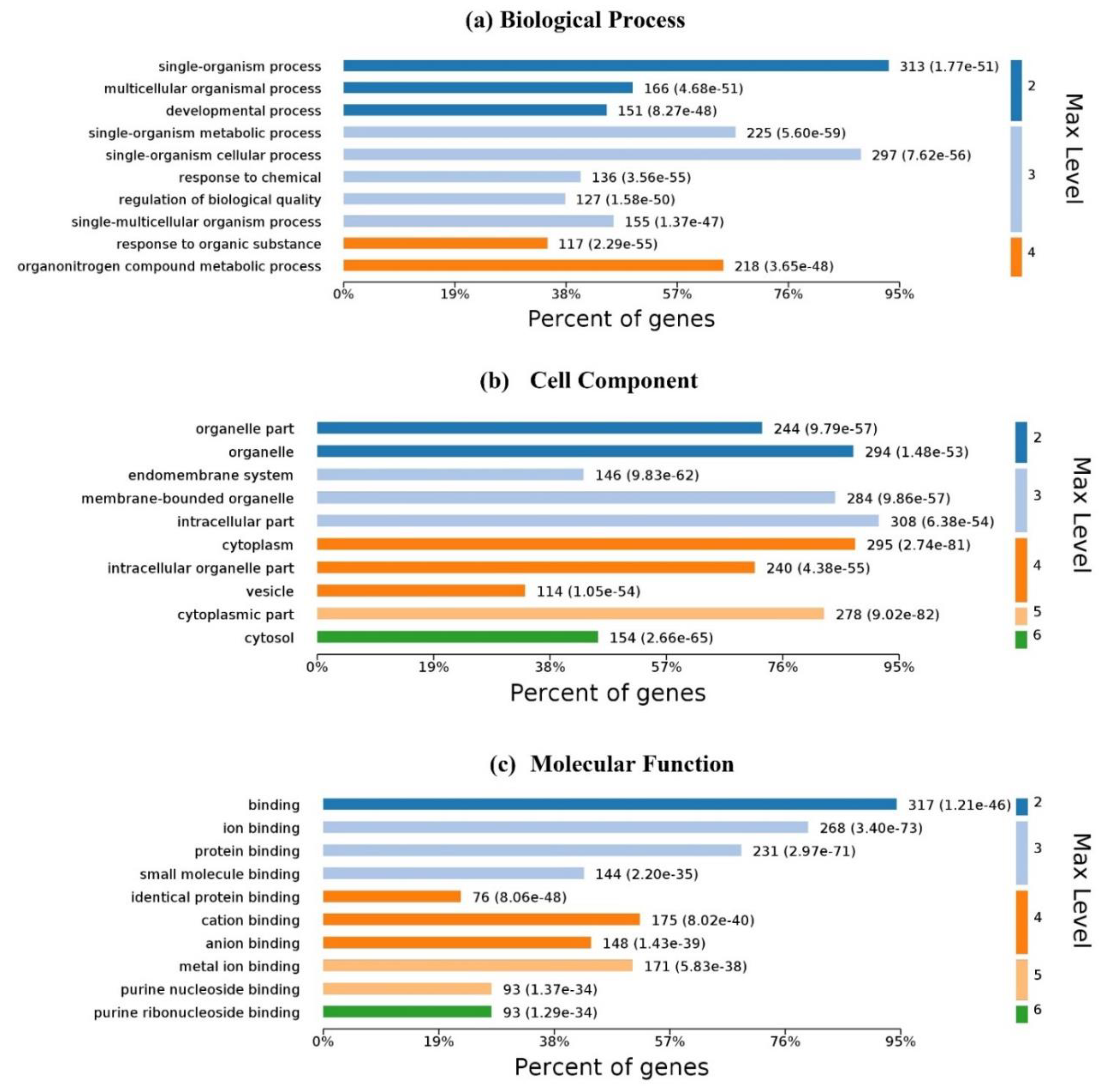 Ijms 20 03120 g006 Ijms 20 03120 g006