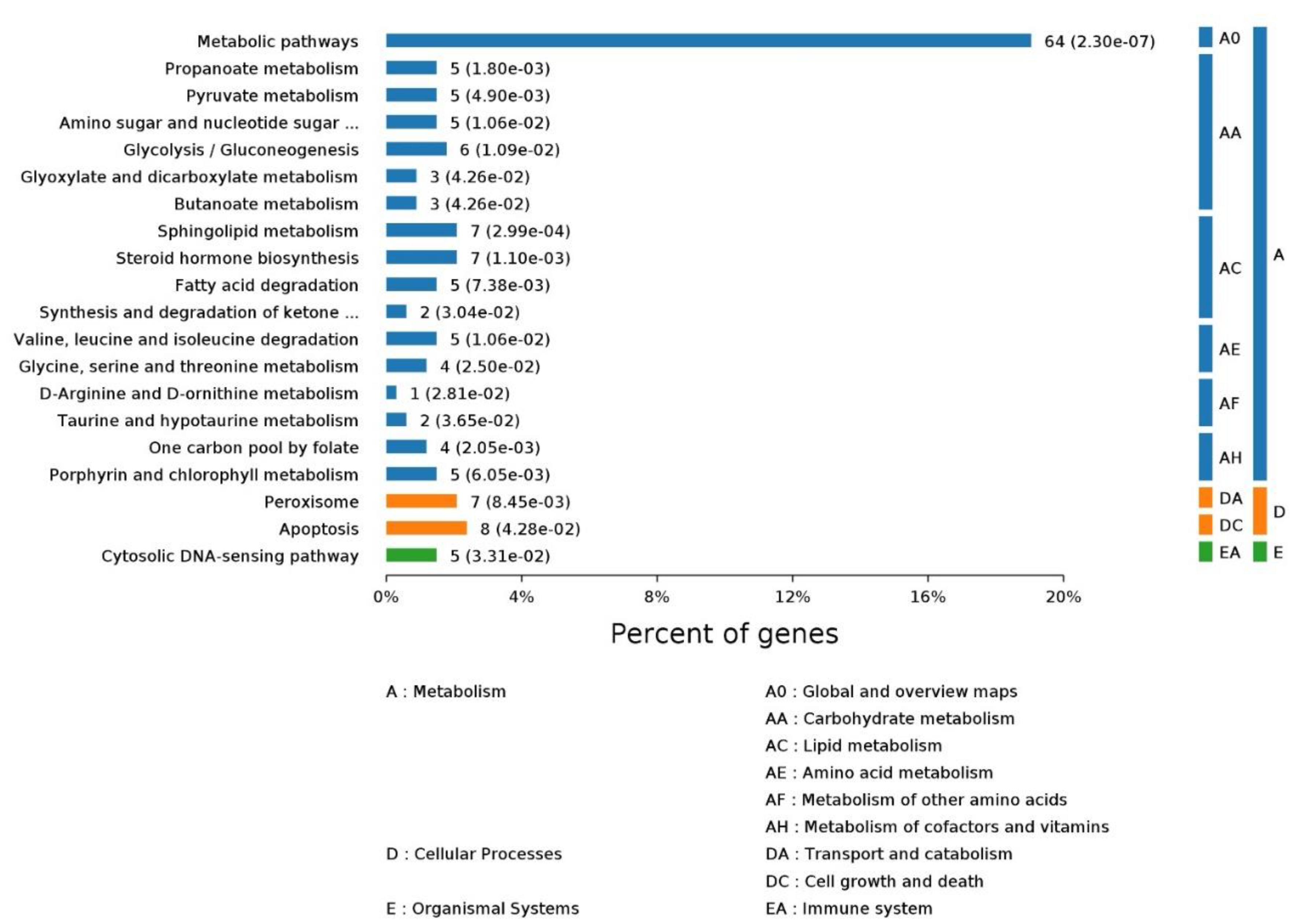 Ijms 20 03120 g007 Ijms 20 03120 g007