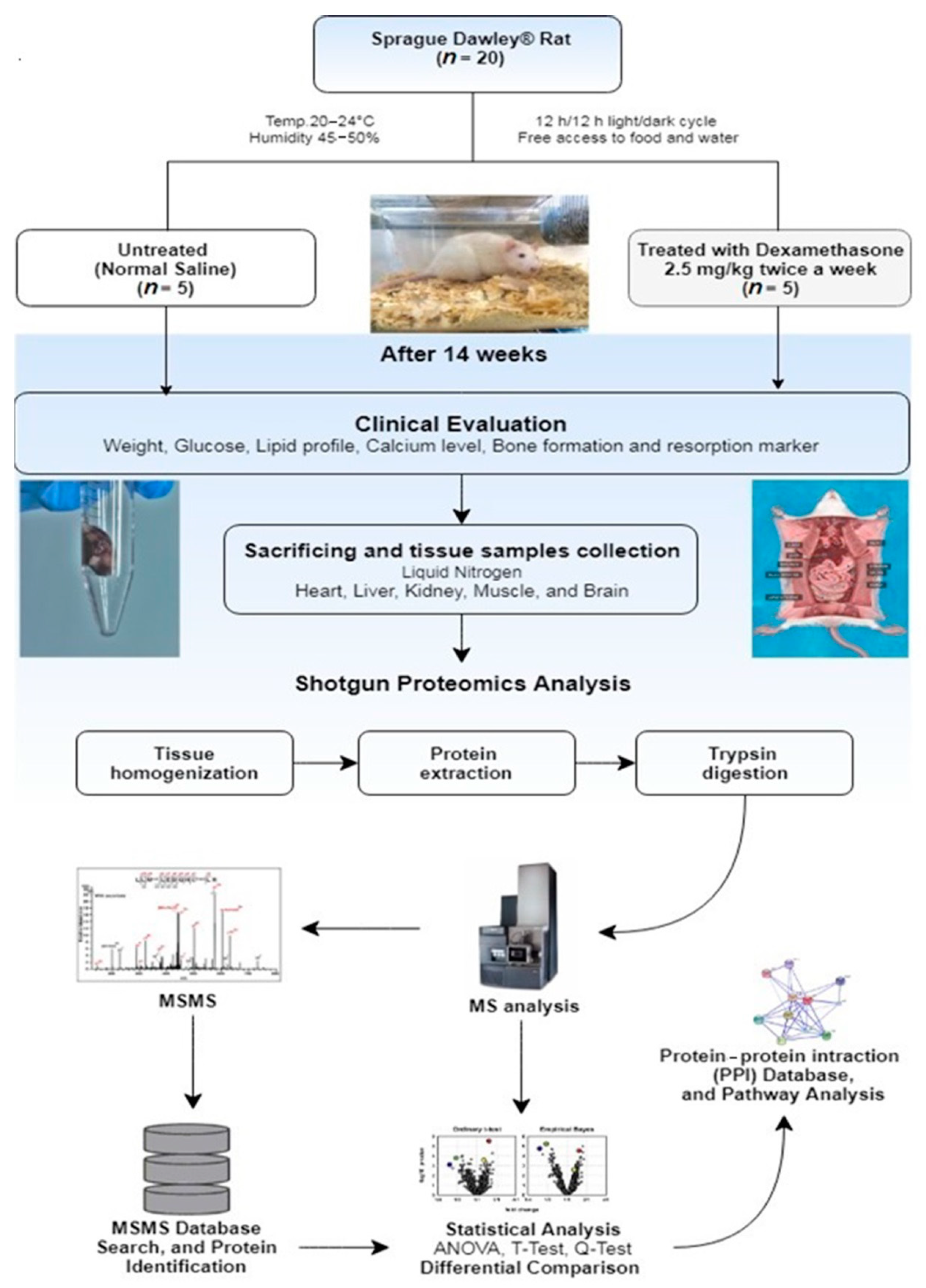 Mass Spectrometry Flow Chart