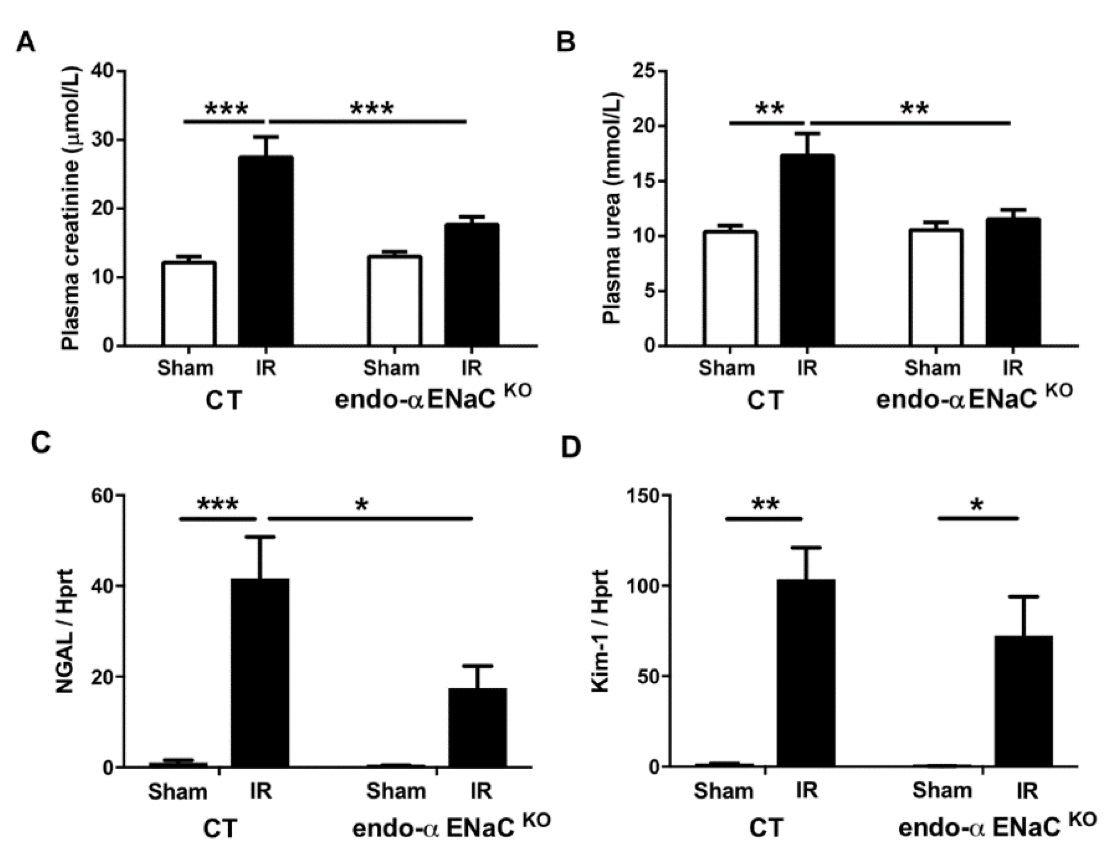 Ijms 20 03132 g001 Ijms 20 03132 g001