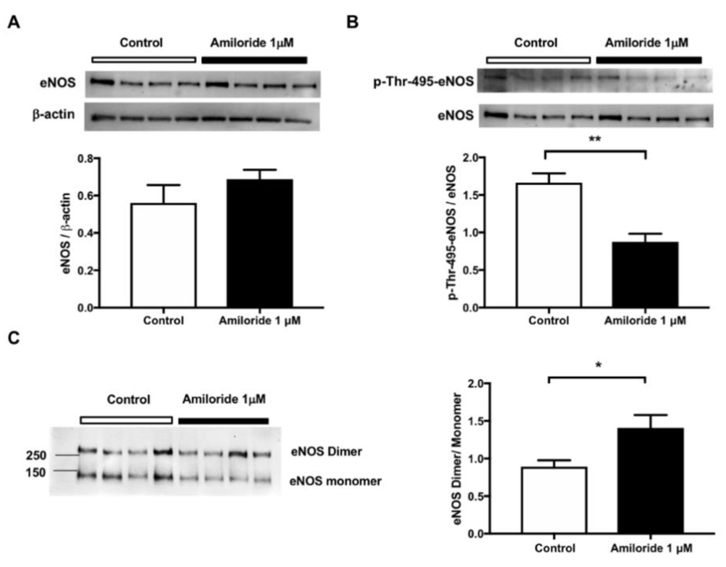 Ijms 20 03132 g004 Ijms 20 03132 g004