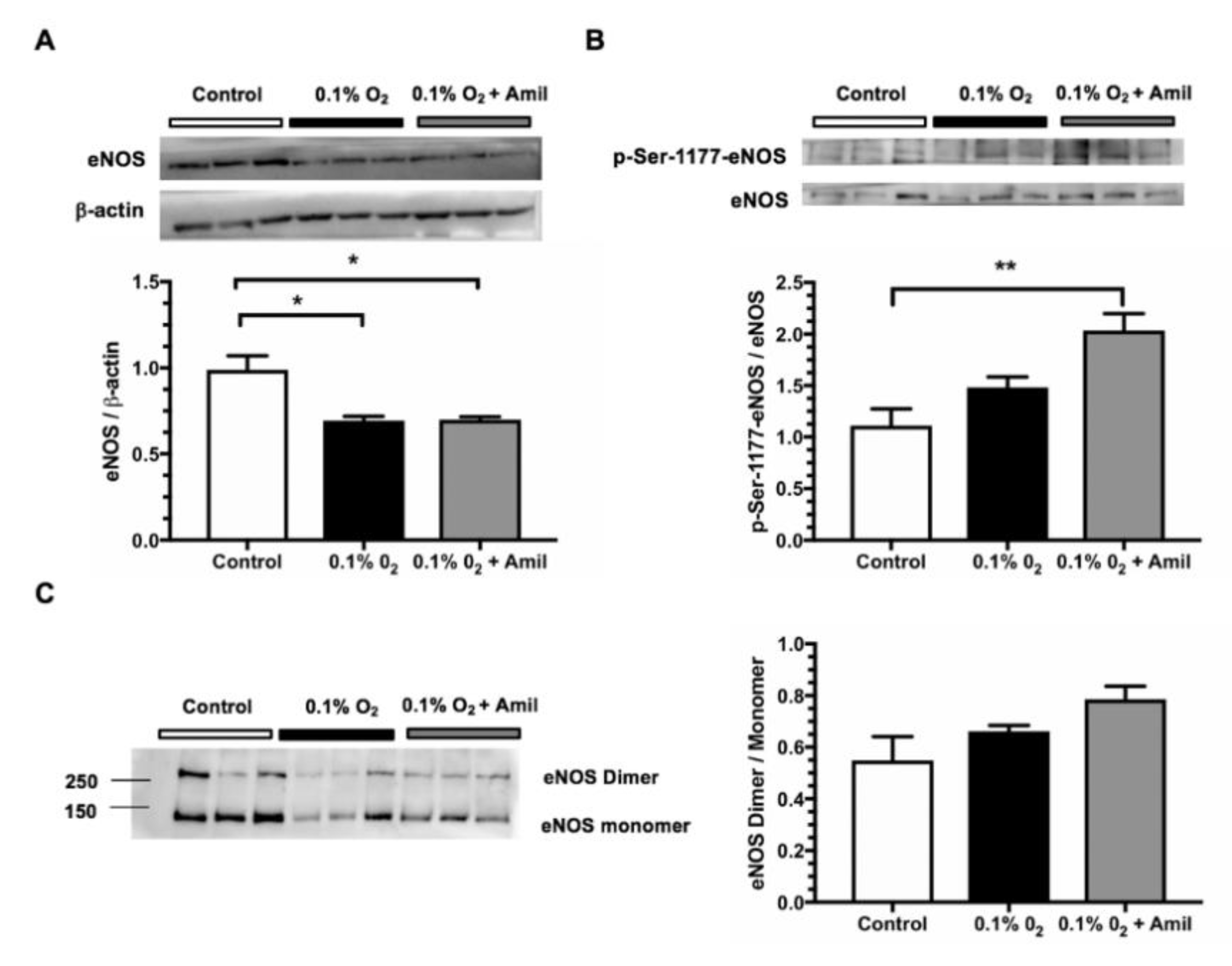 Ijms 20 03132 g005 Ijms 20 03132 g005