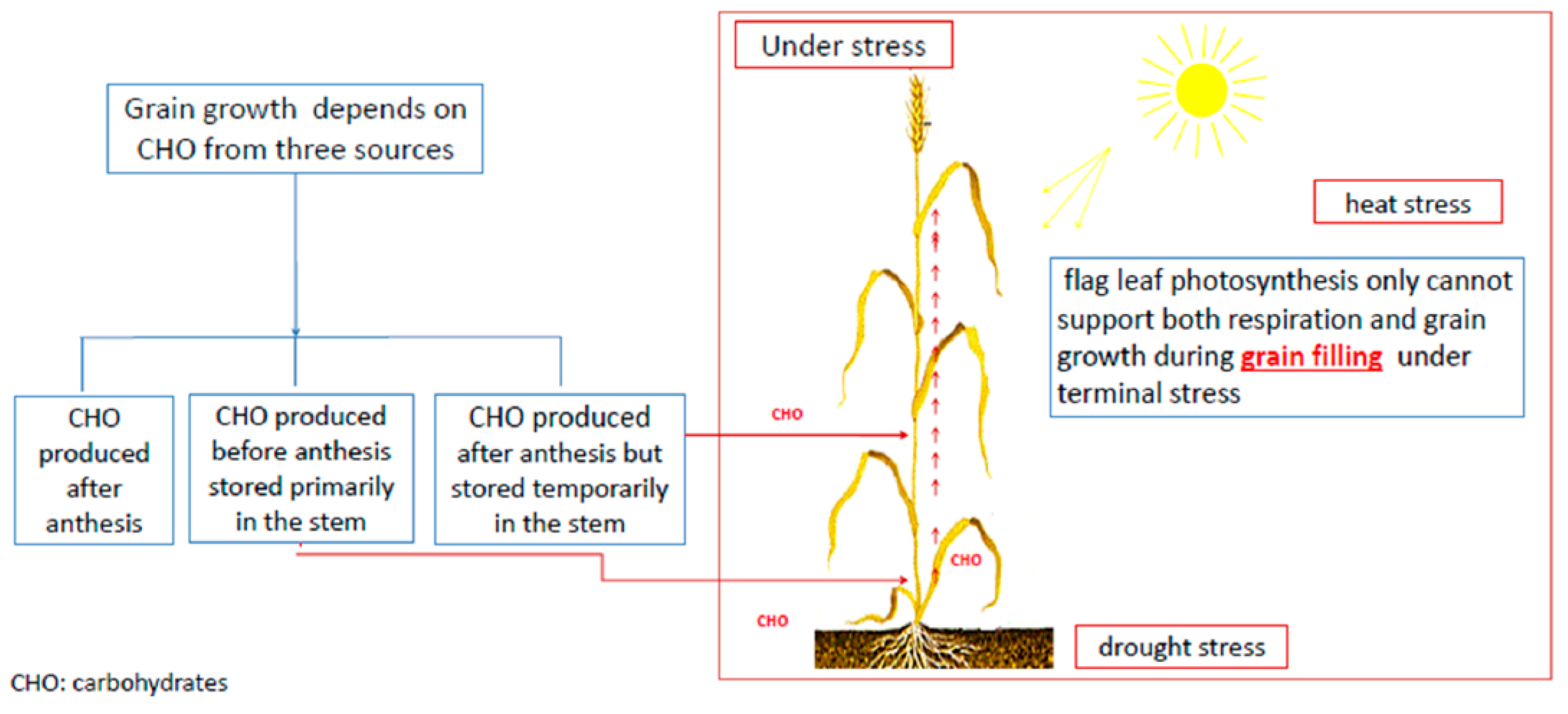 Ijms 20 03137 g005 Ijms 20 03137 g005