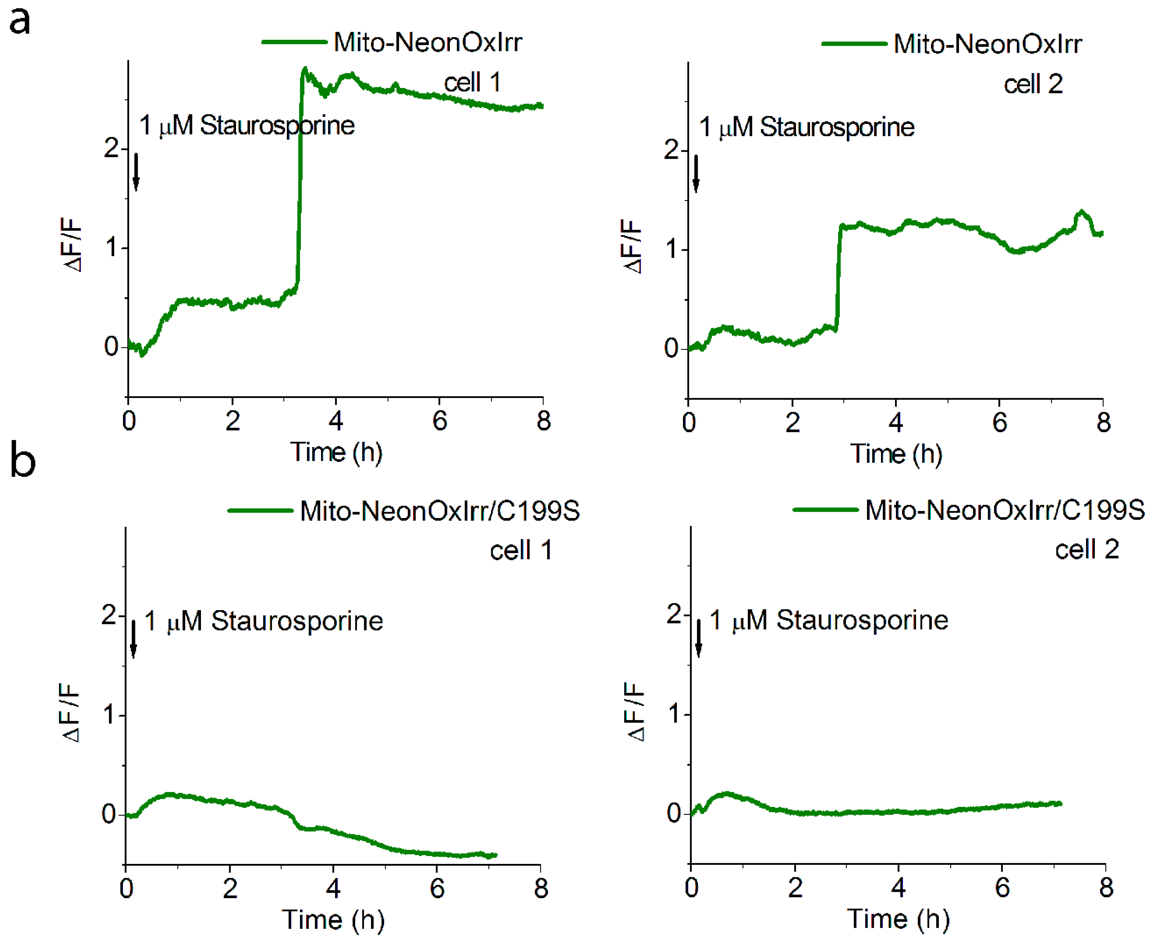 Ijms 20 03138 g004 Ijms 20 03138 g004