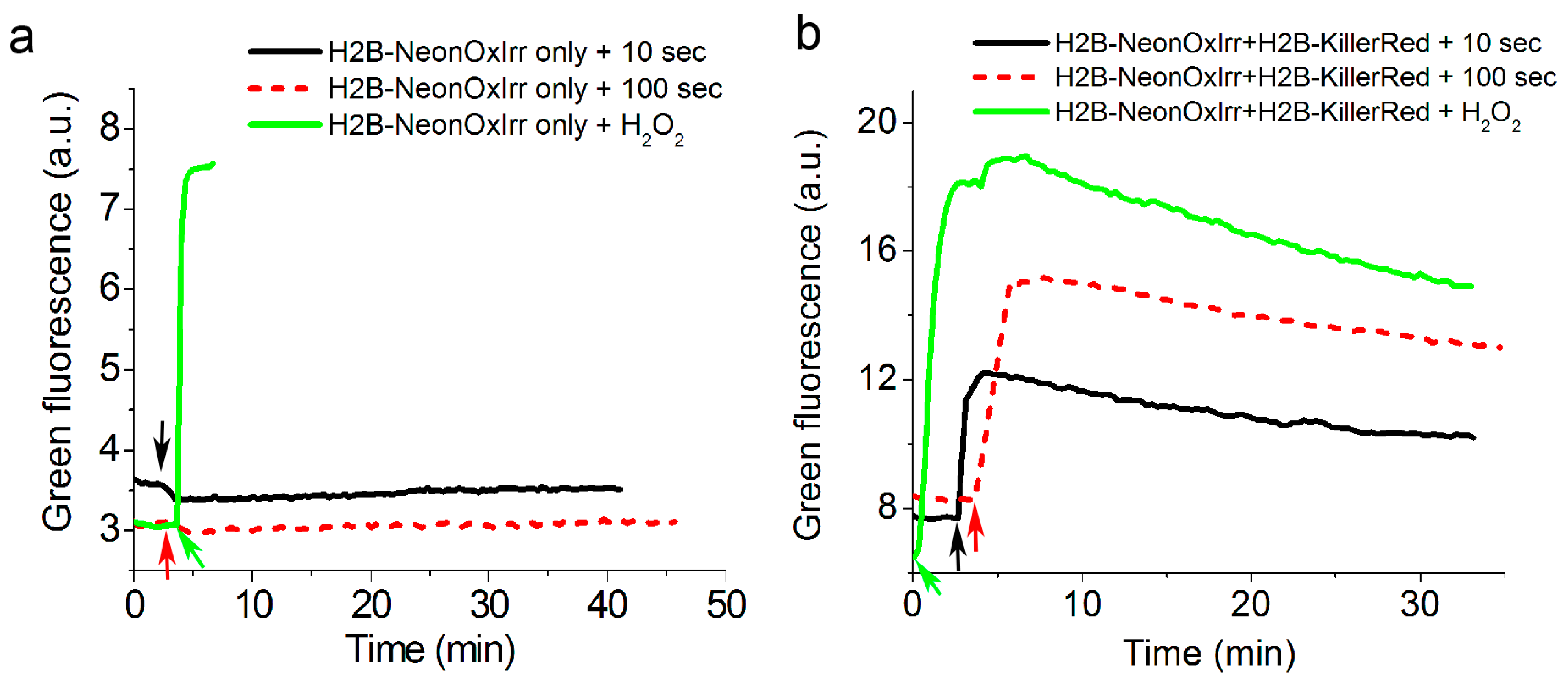 Ijms 20 03138 g005 Ijms 20 03138 g005