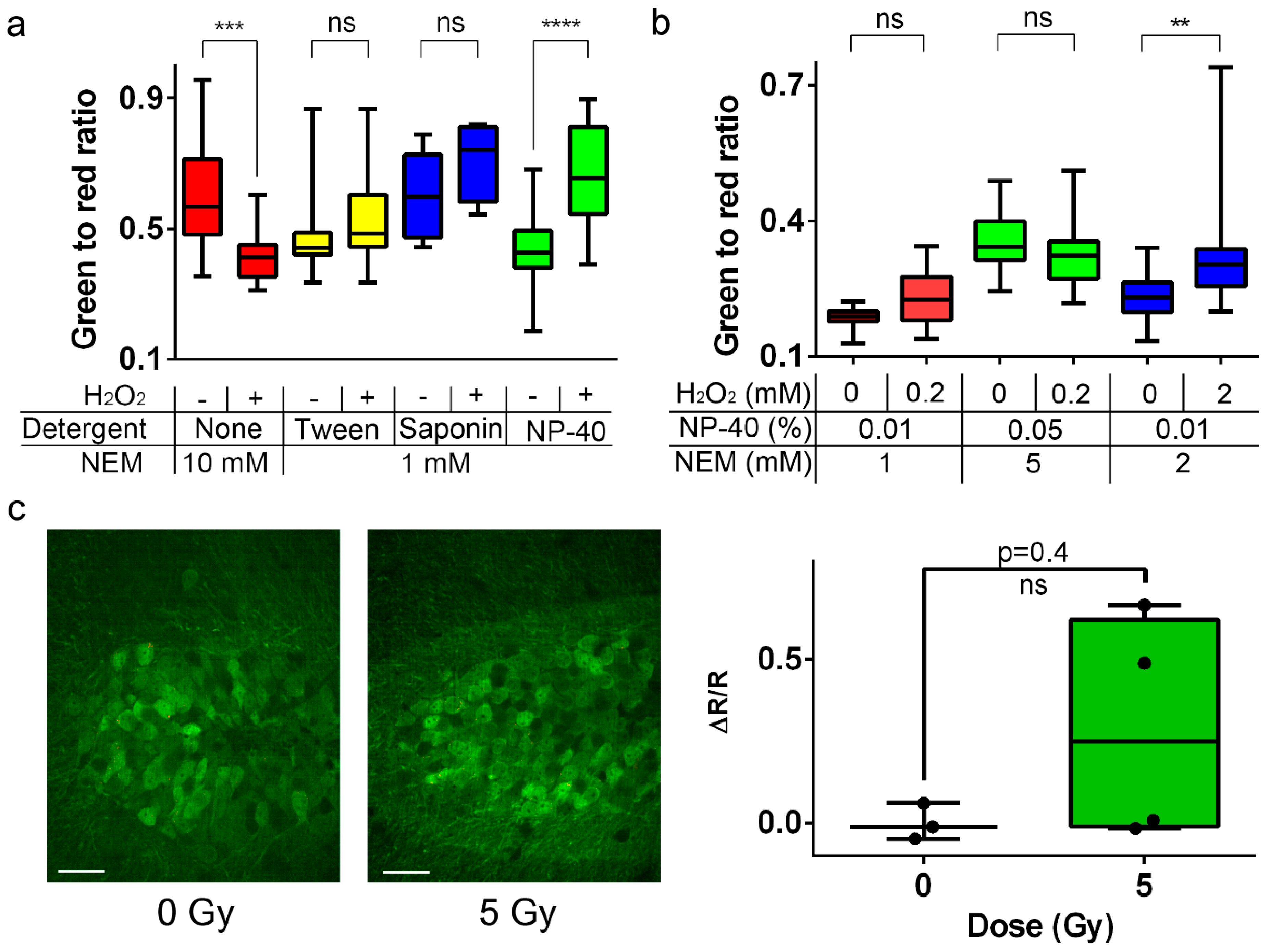 Ijms 20 03138 g007 Ijms 20 03138 g007
