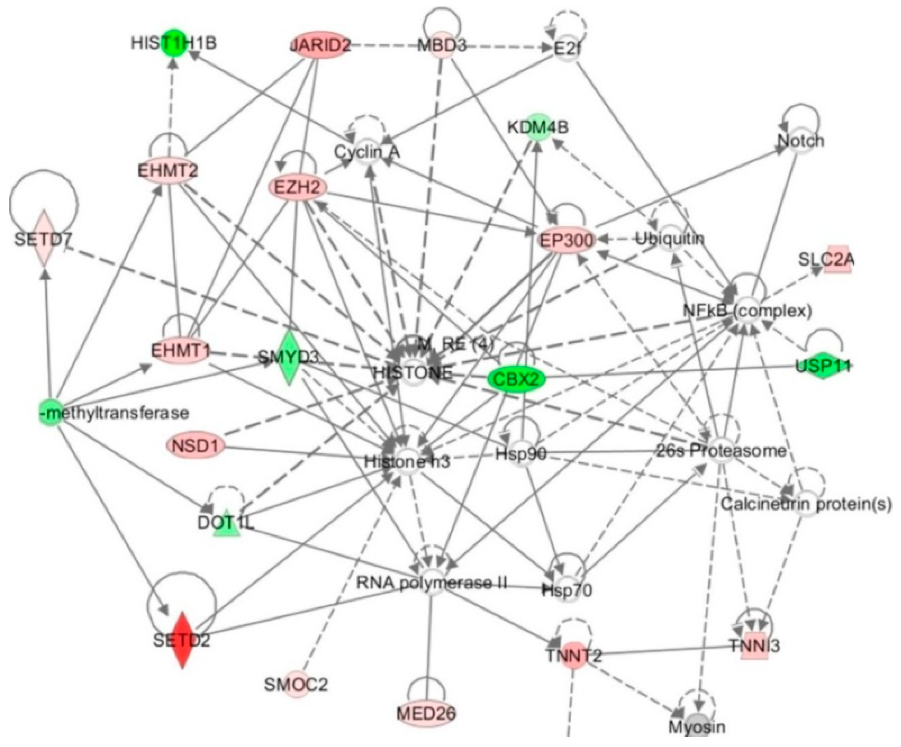 Ijms 20 03140 g002 Ijms 20 03140 g002