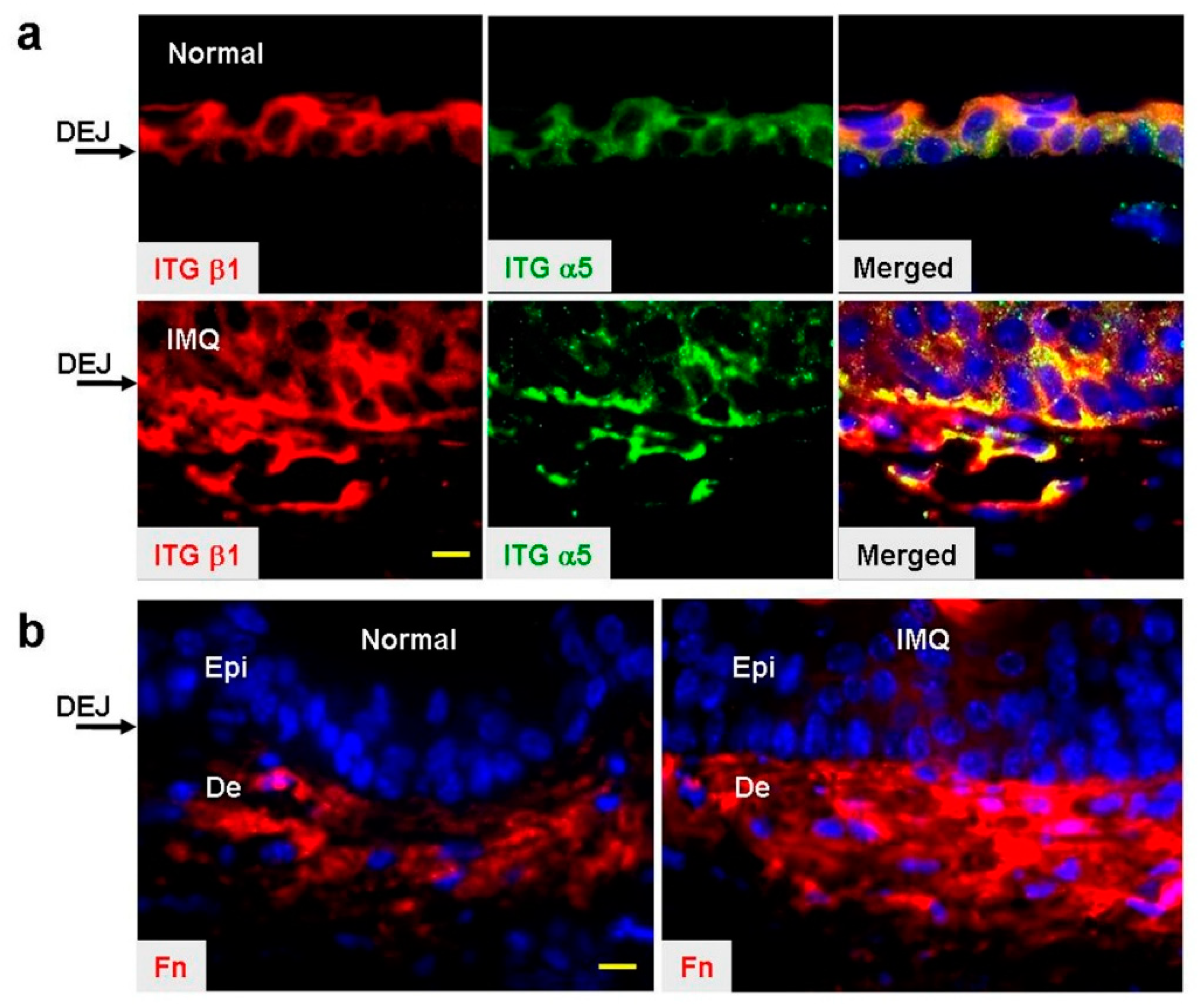 Ijms 20 03144 g003 Ijms 20 03144 g003