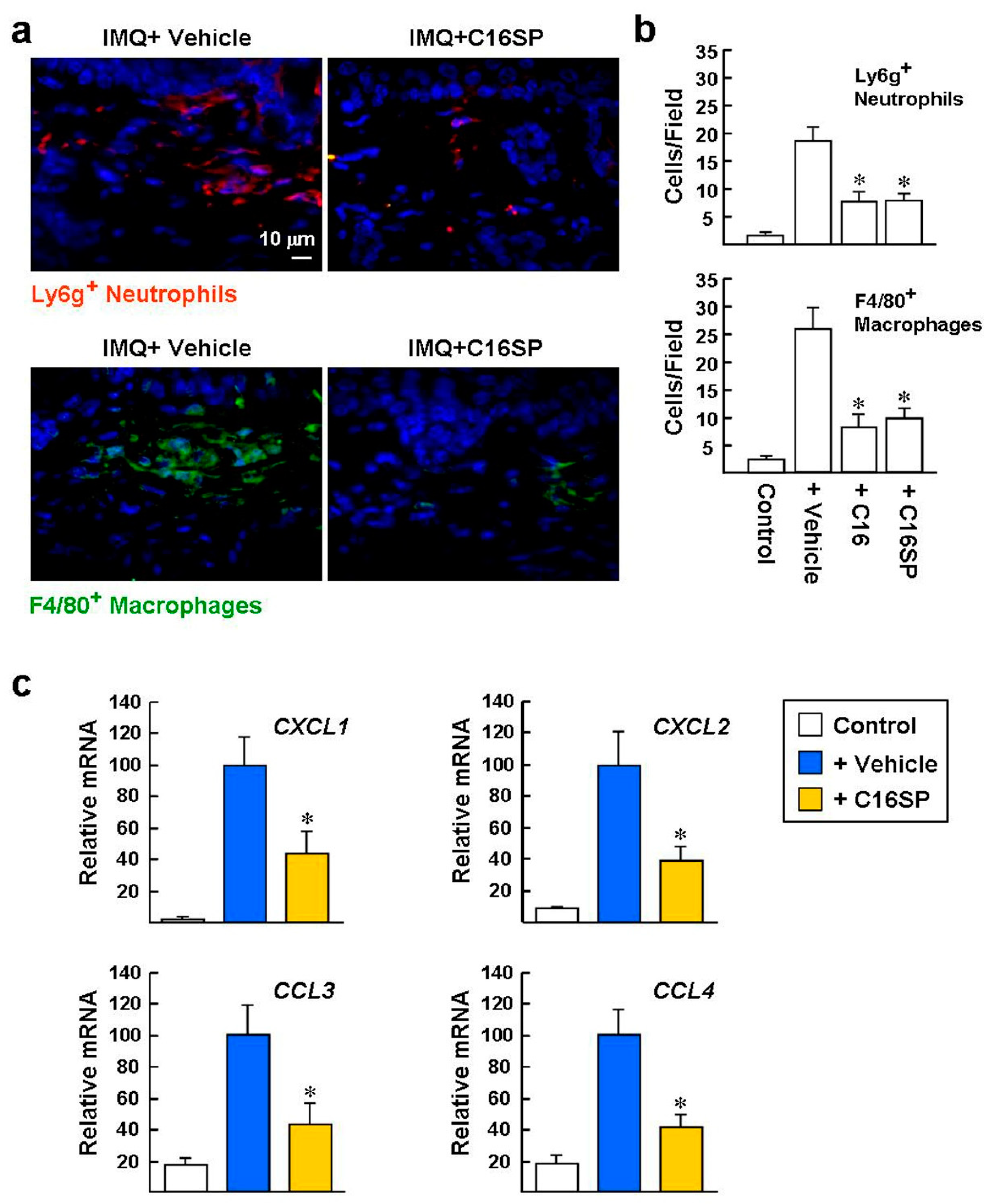 Ijms 20 03144 g007 Ijms 20 03144 g007