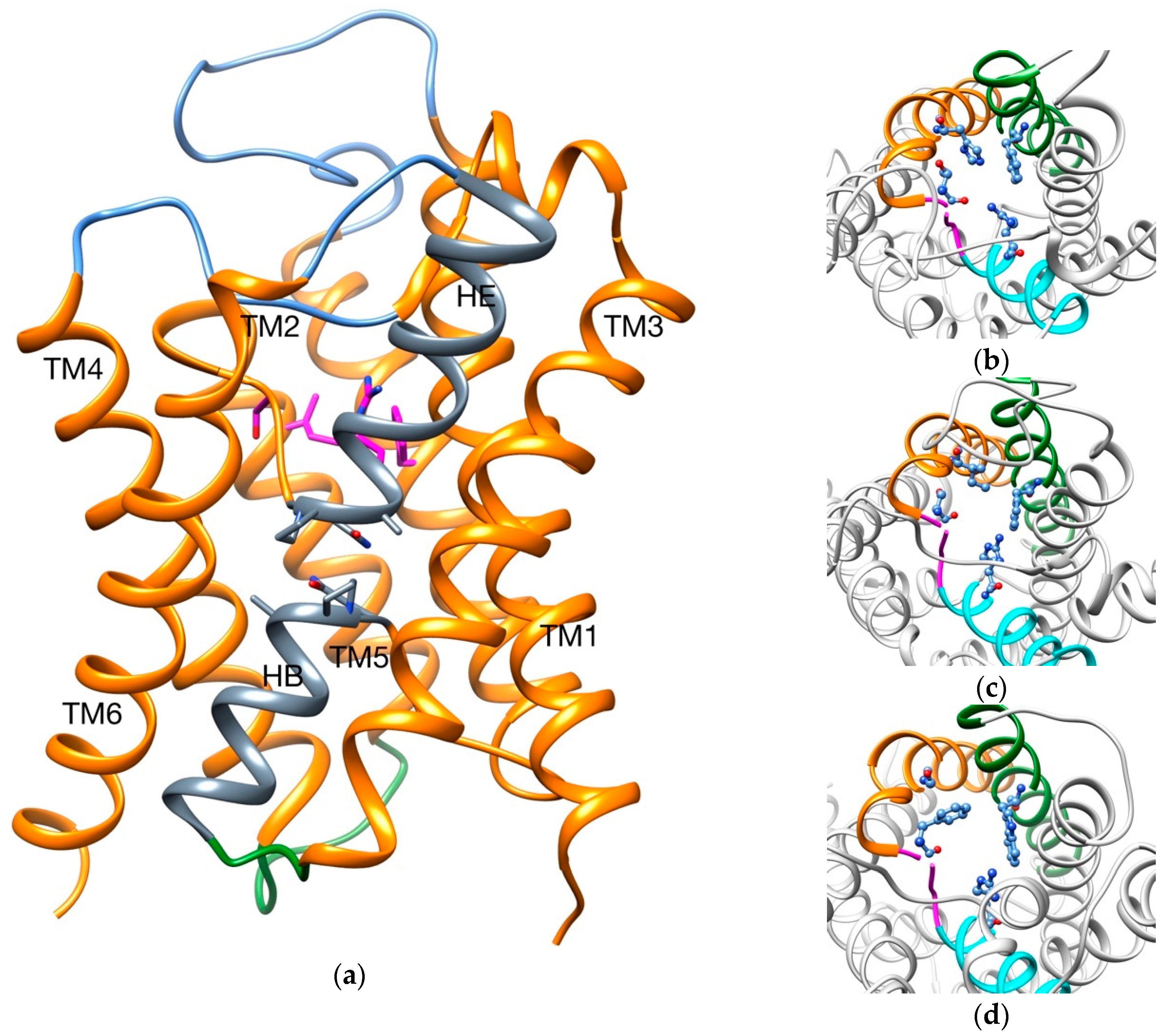 Ijms 20 03155 g001