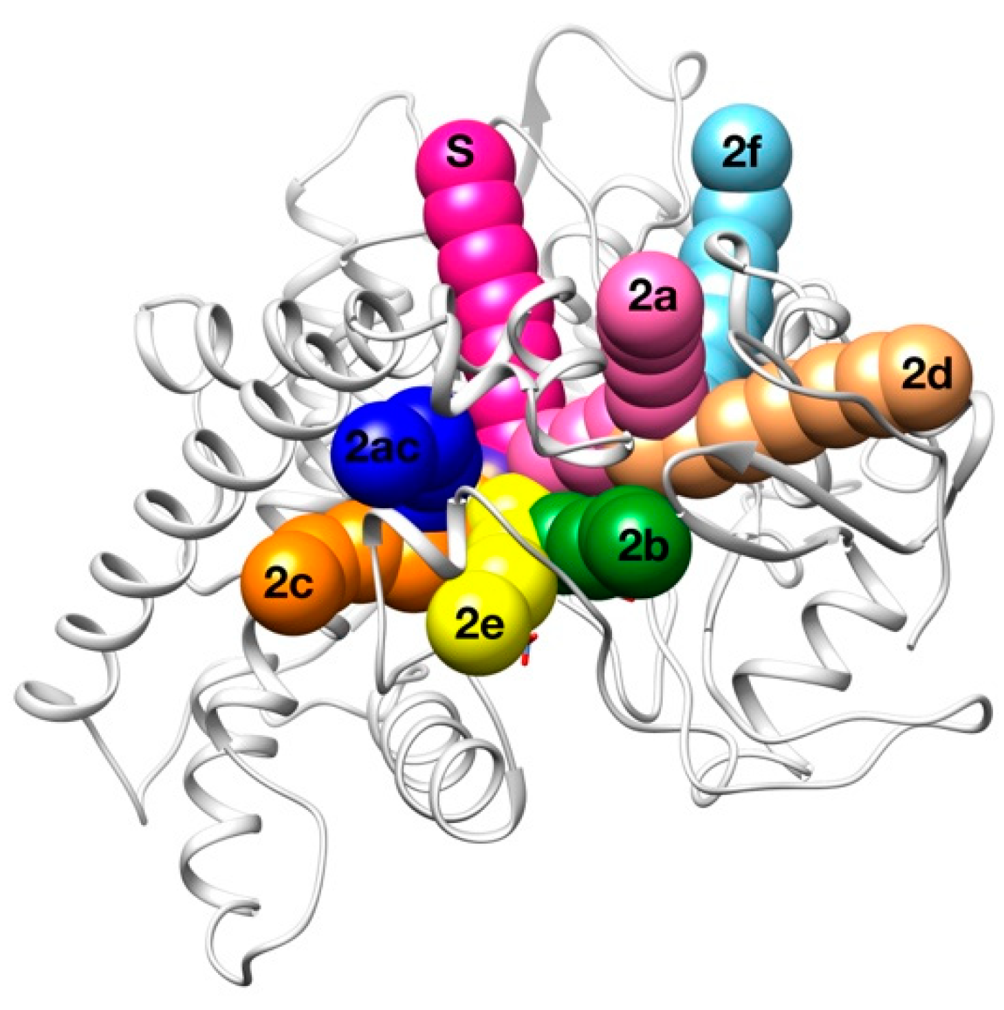 Ijms 20 03155 g007