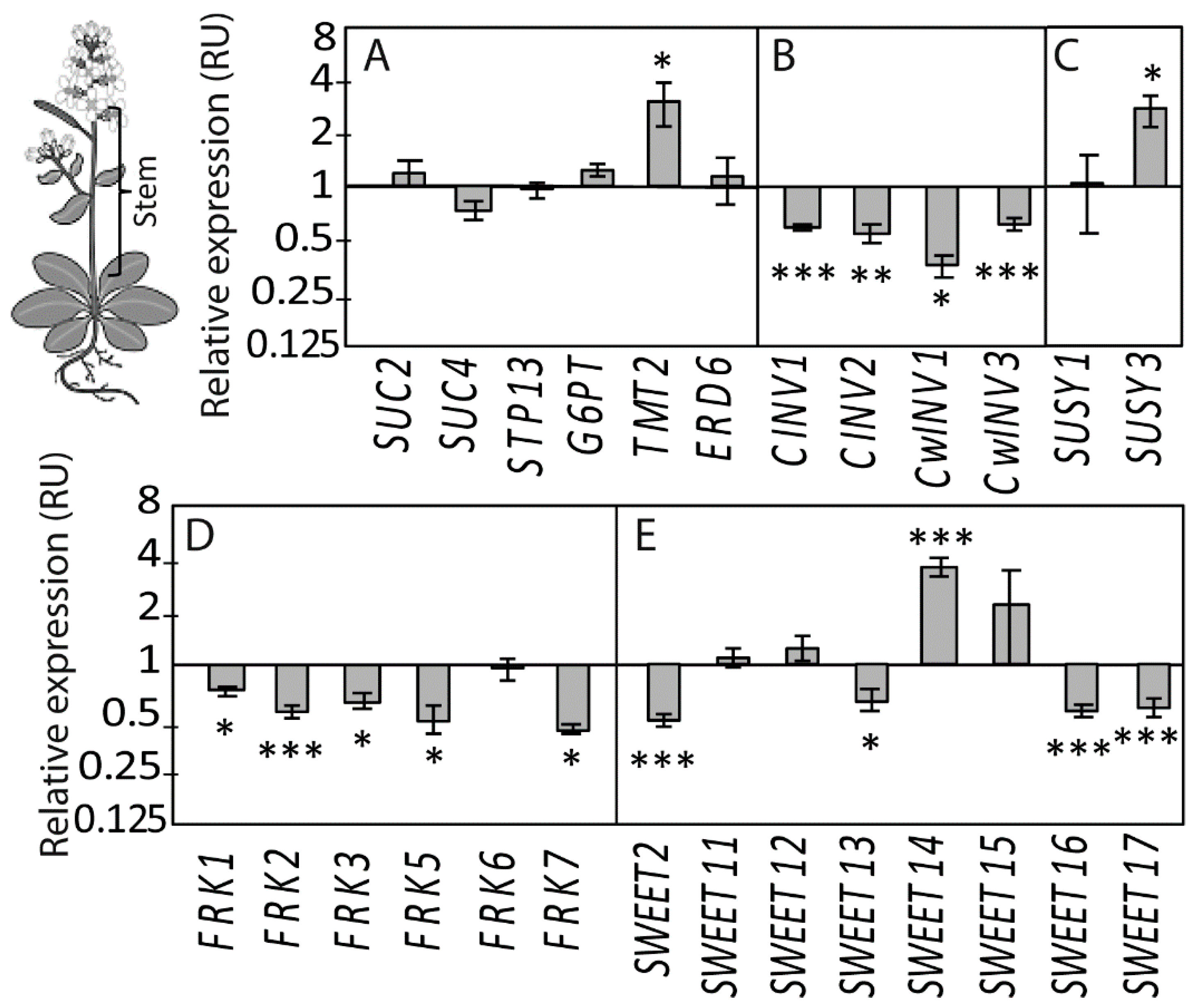 Ijms 20 03167 g004 Ijms 20 03167 g004
