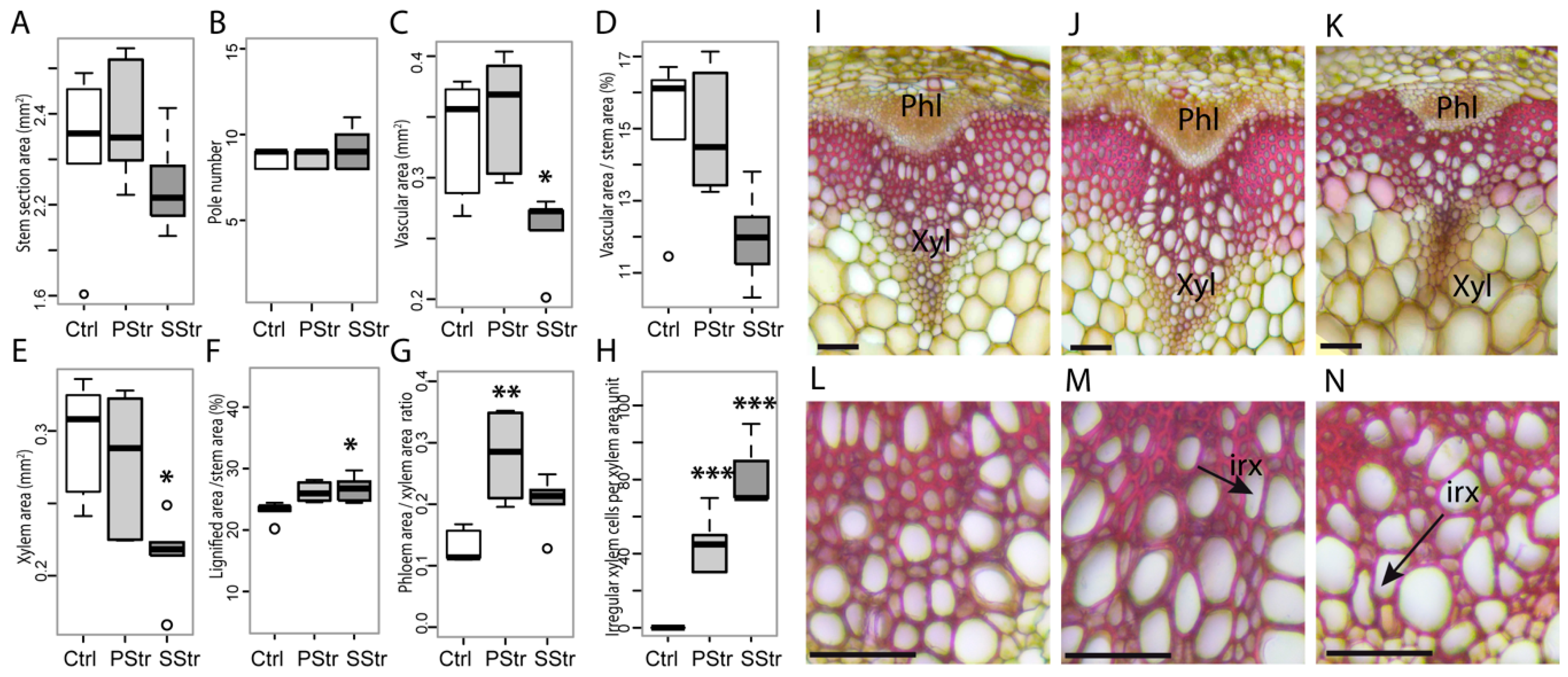 Ijms 20 03167 g006 Ijms 20 03167 g006