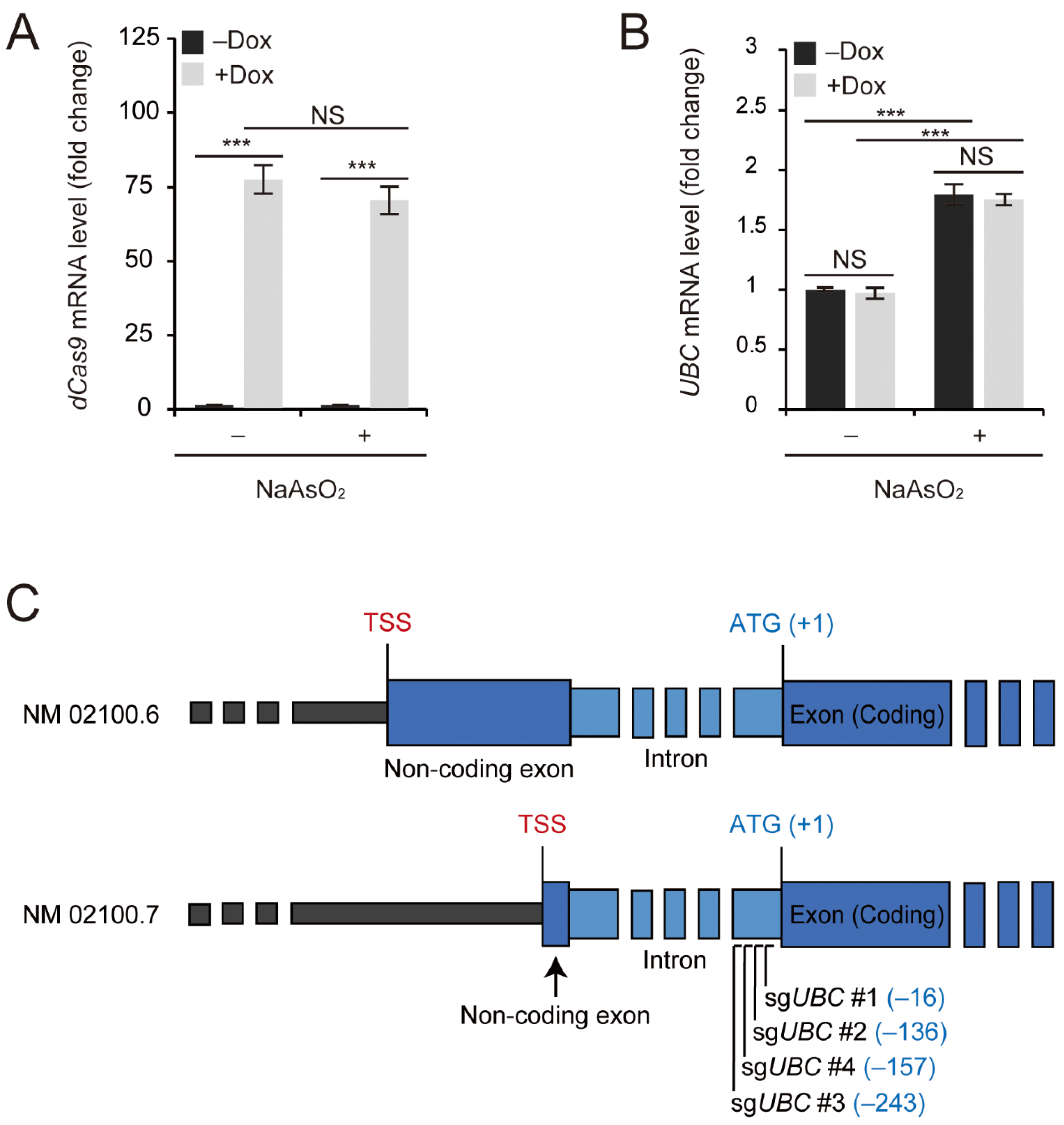 Ijms 20 03168 g001 Ijms 20 03168 g001