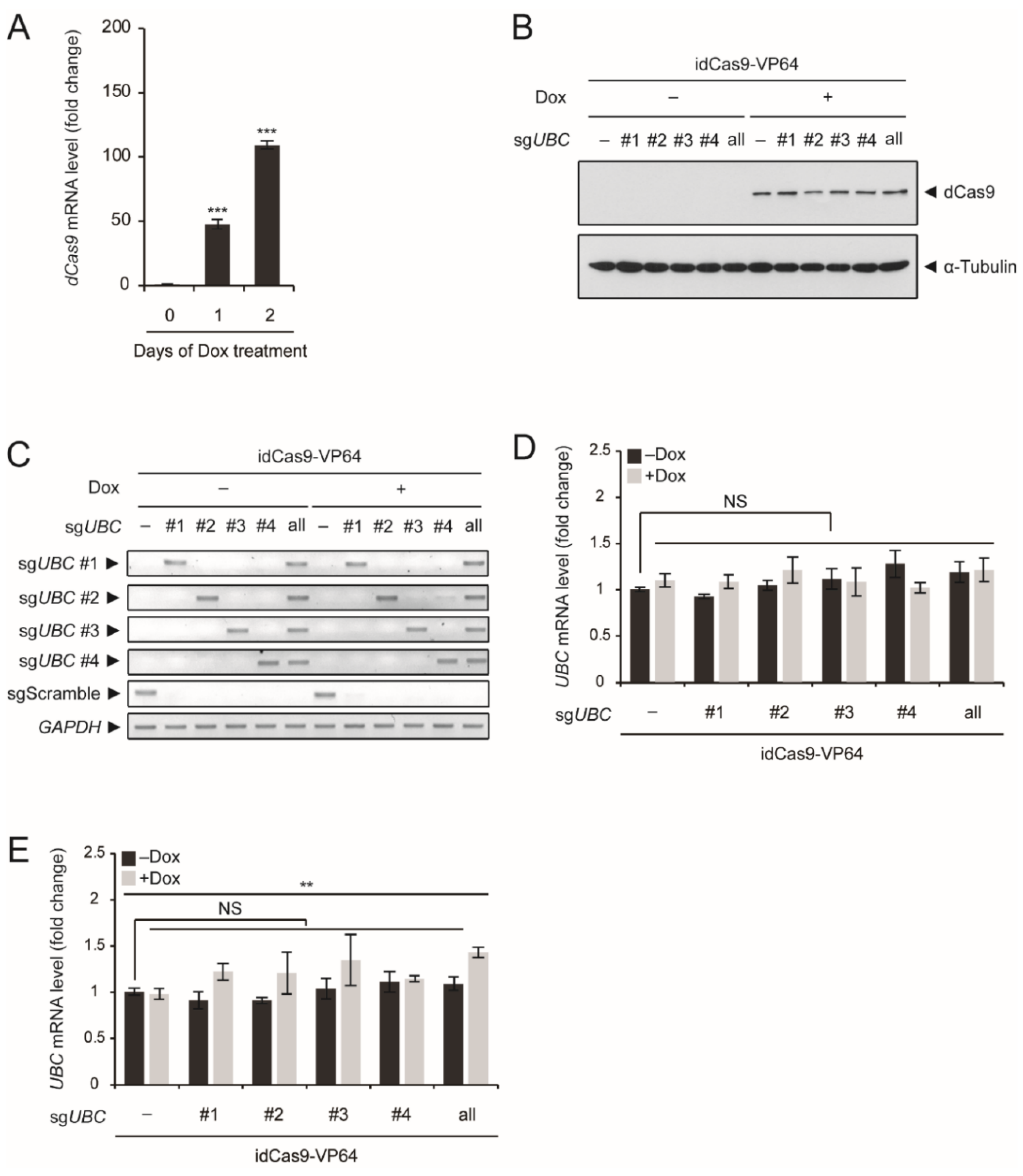 Ijms 20 03168 g002 Ijms 20 03168 g002