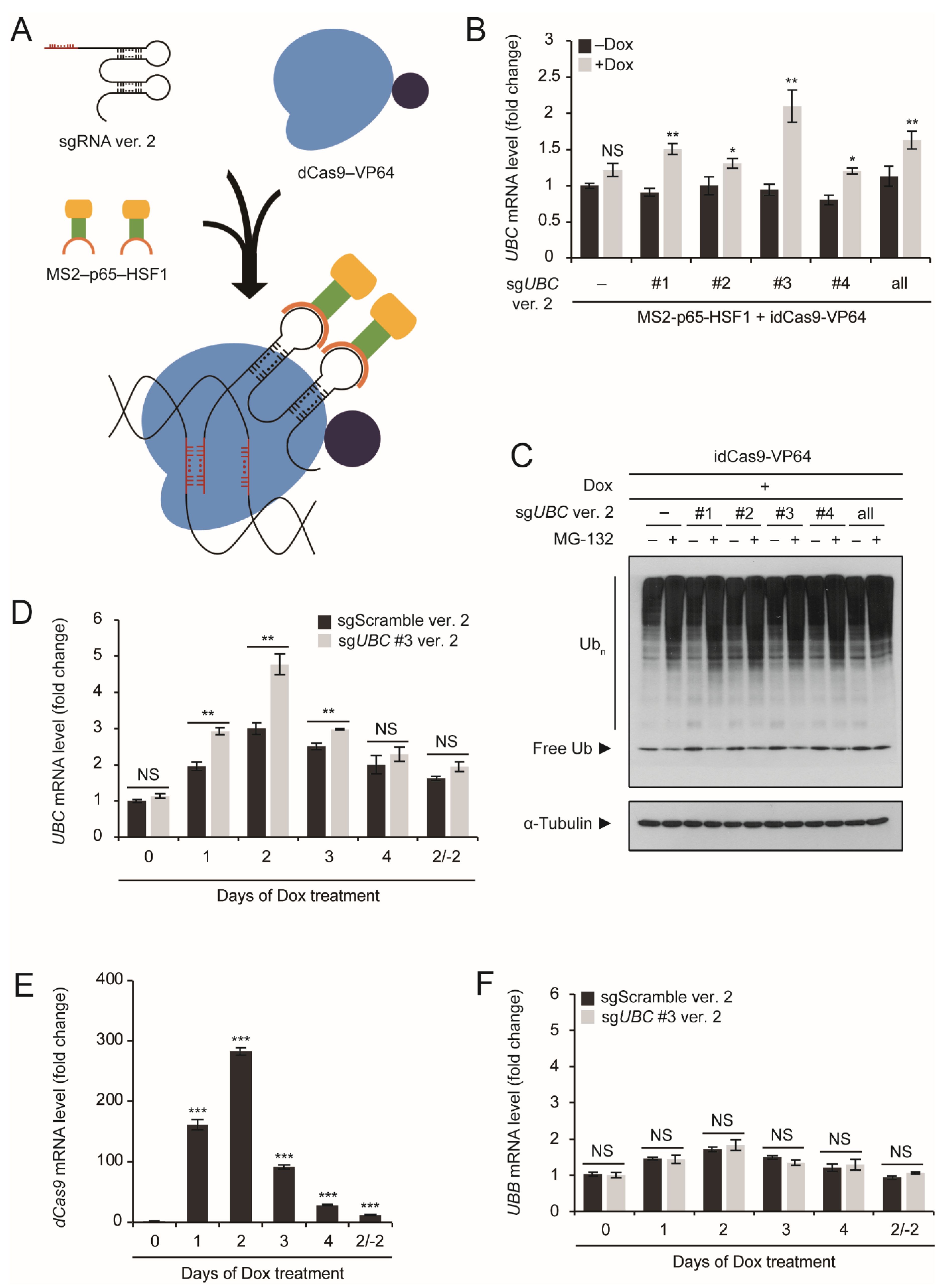 Ijms 20 03168 g003 Ijms 20 03168 g003
