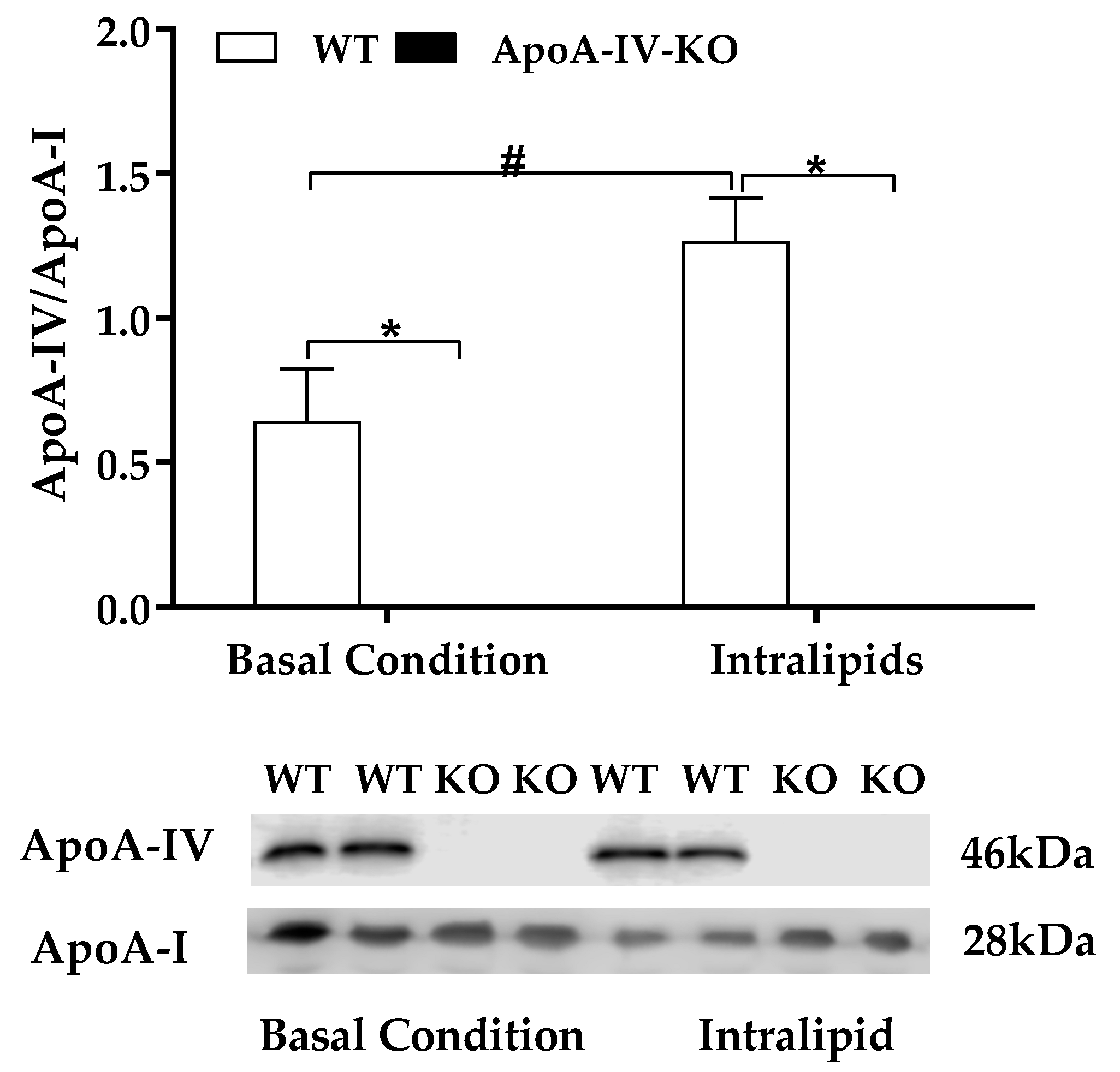 Ijms 20 03176 g002 Ijms 20 03176 g002