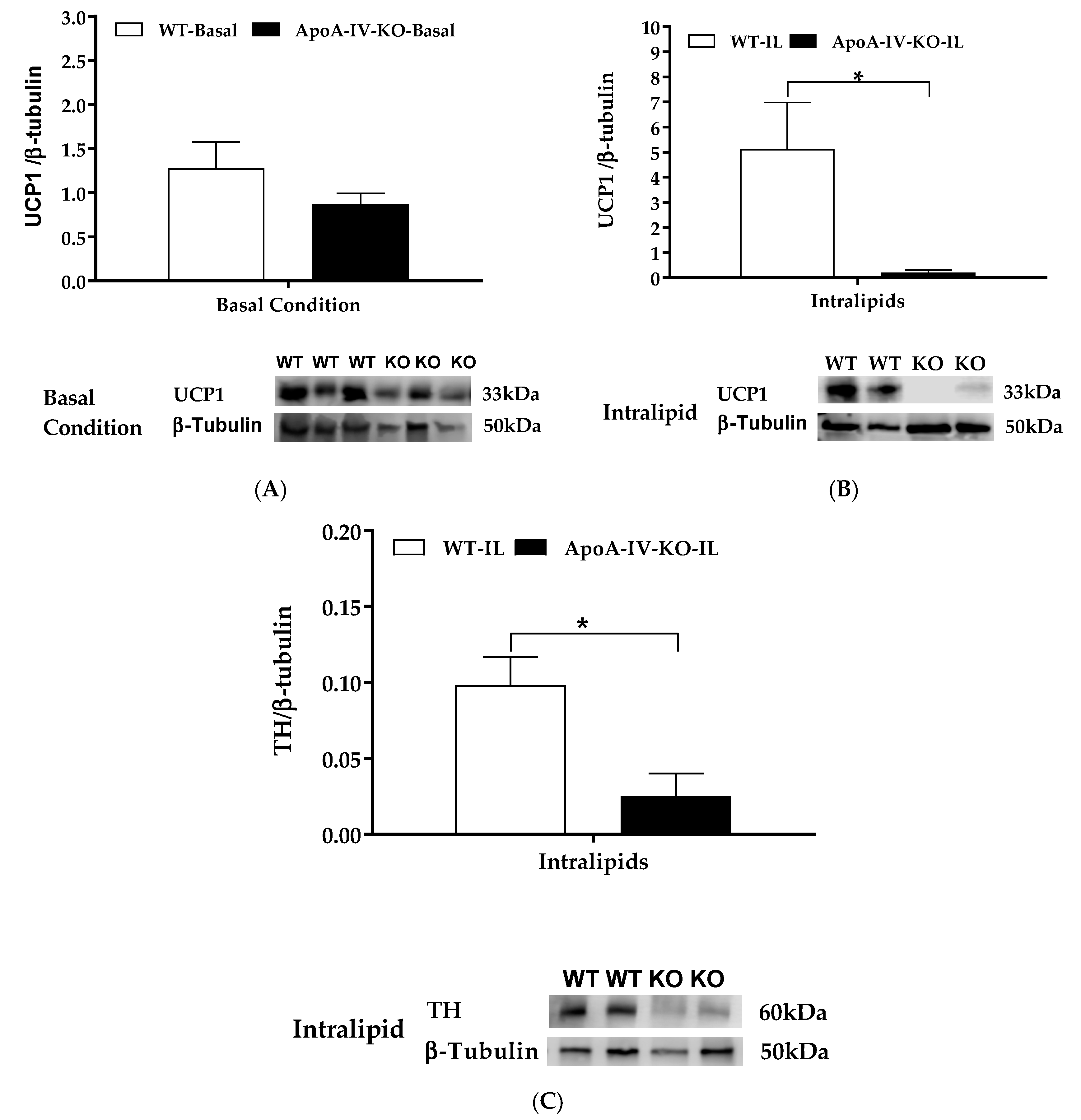 Ijms 20 03176 g003 Ijms 20 03176 g003