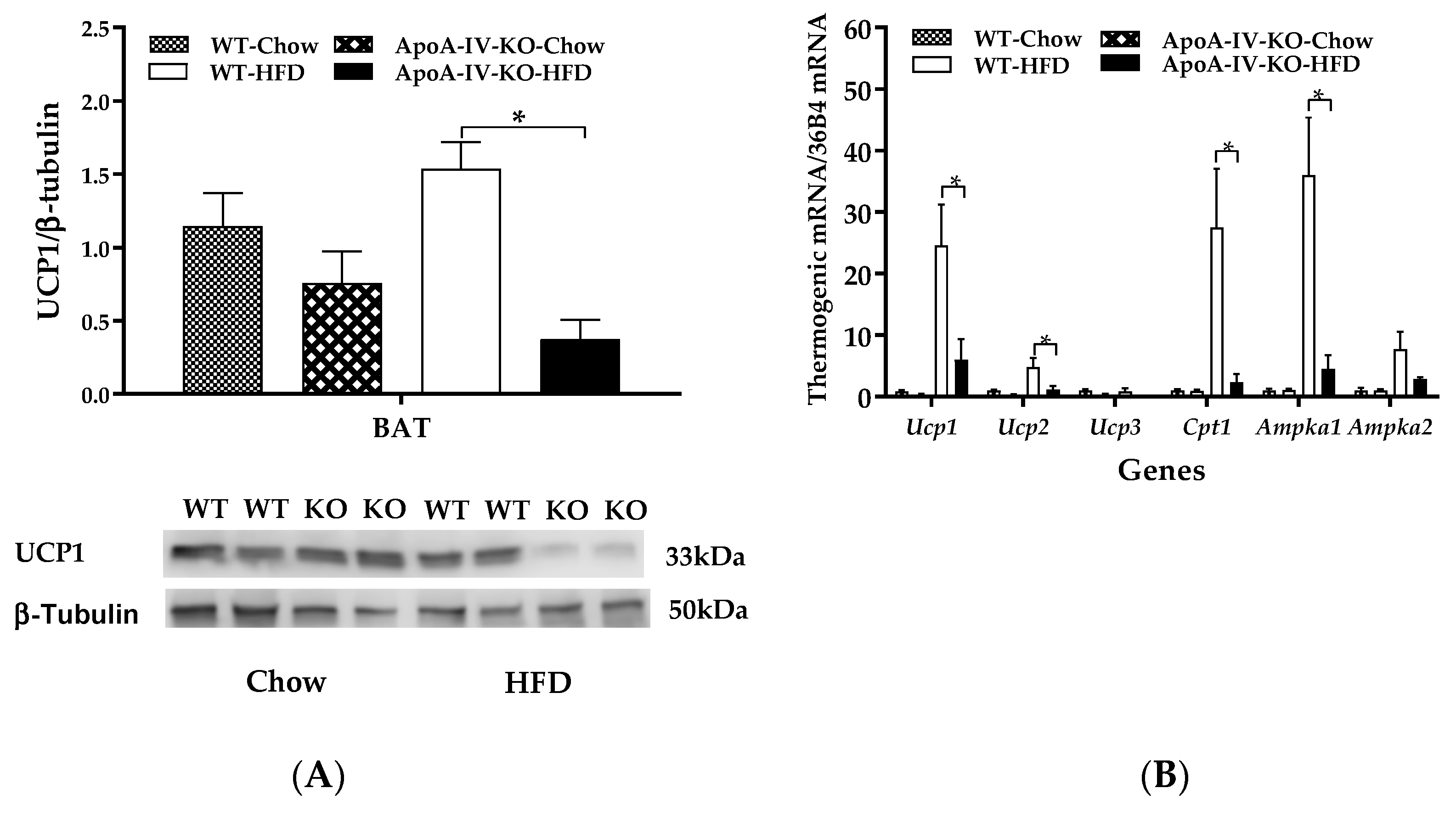 Ijms 20 03176 g005 Ijms 20 03176 g005