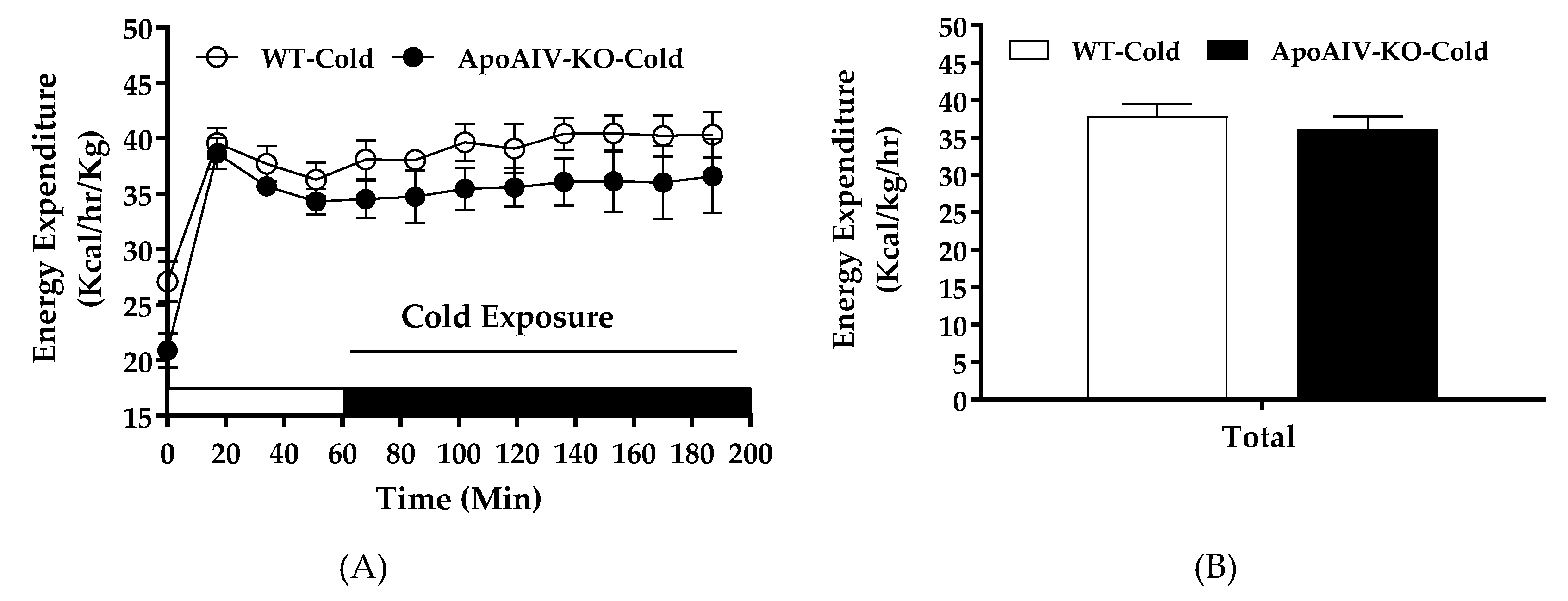 Ijms 20 03176 g008a Ijms 20 03176 g008a