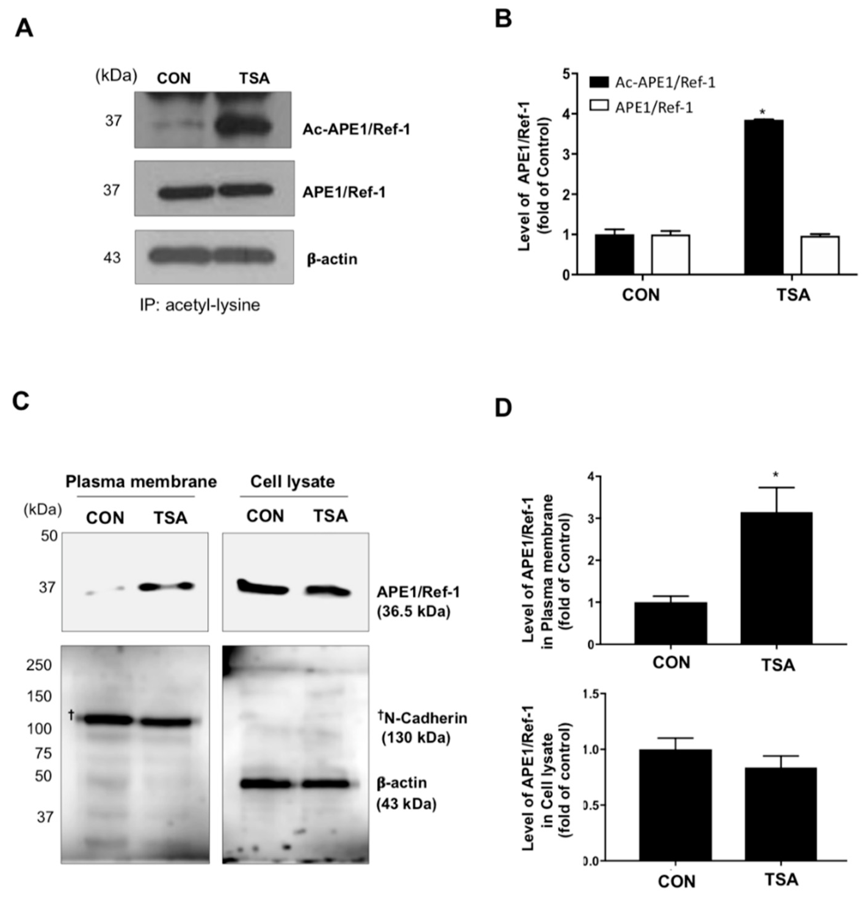 Ijms 20 03178 g005 Ijms 20 03178 g005