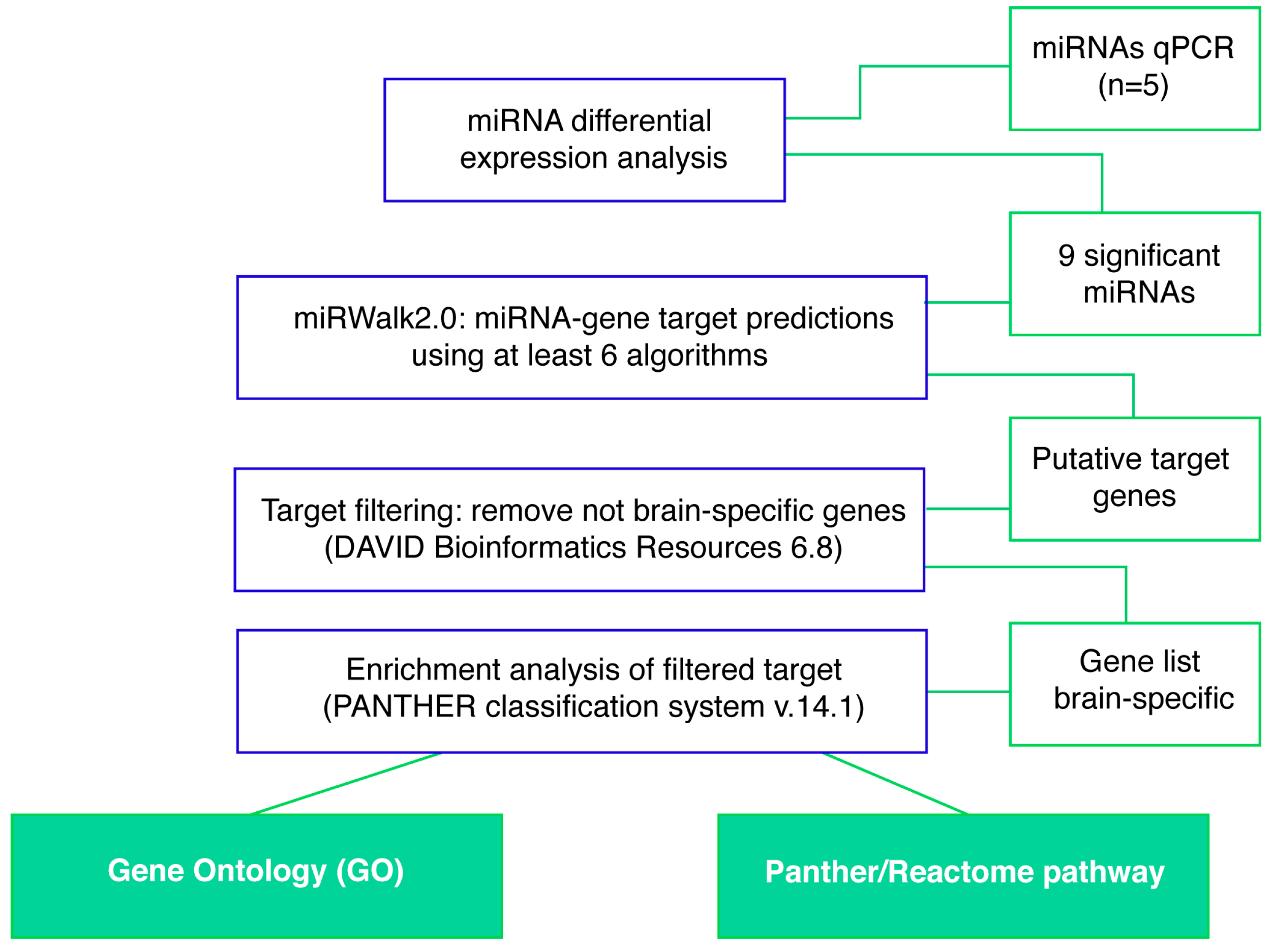 Ijms 20 03179 g004 Ijms 20 03179 g004