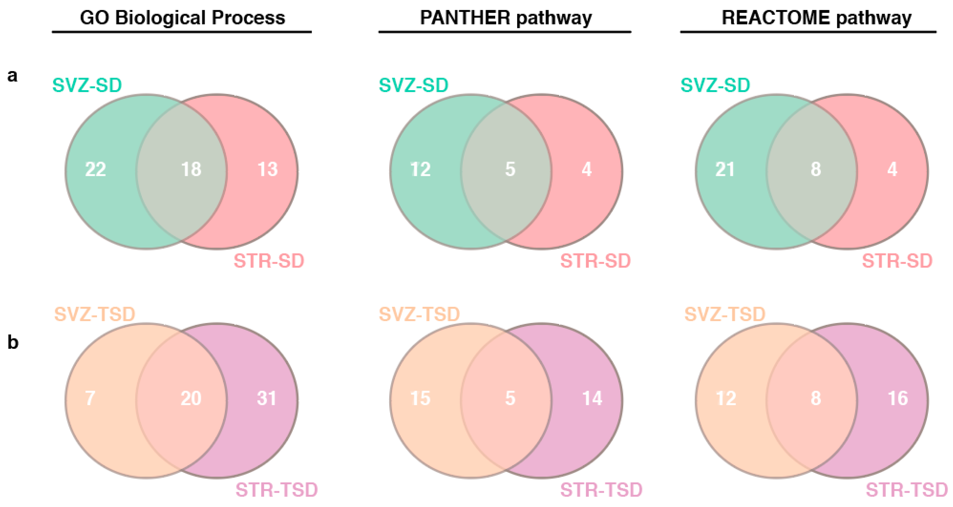Ijms 20 03179 g006 Ijms 20 03179 g006