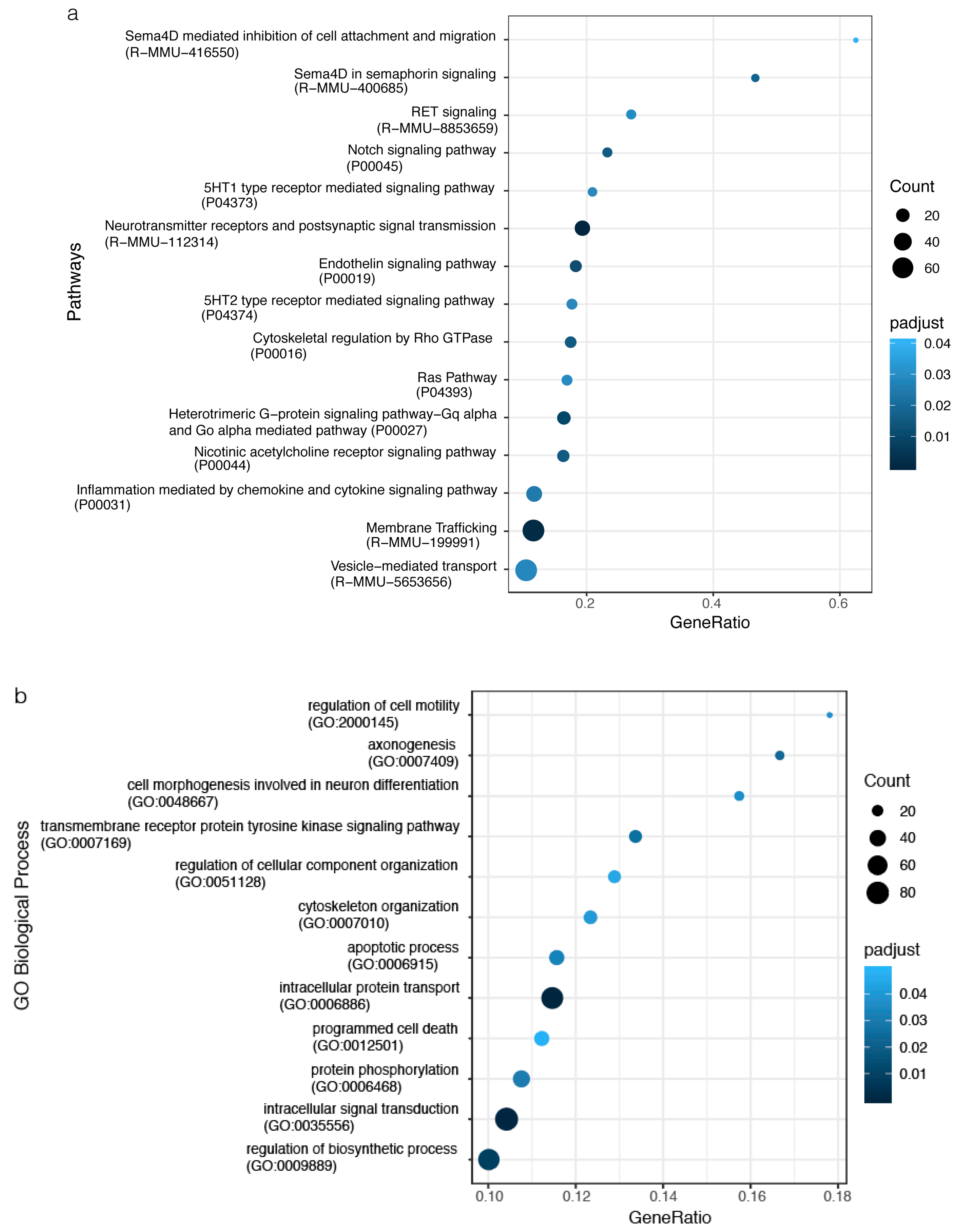 Ijms 20 03179 g008 Ijms 20 03179 g008