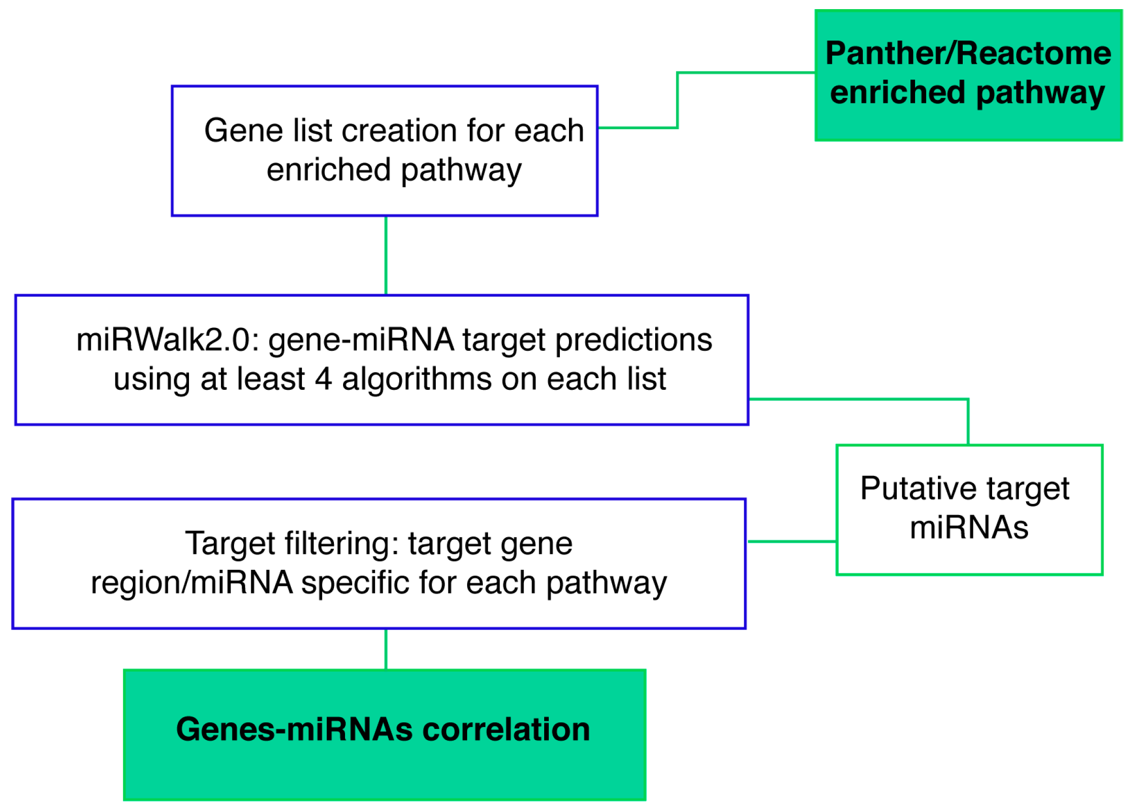 Ijms 20 03179 g009 Ijms 20 03179 g009