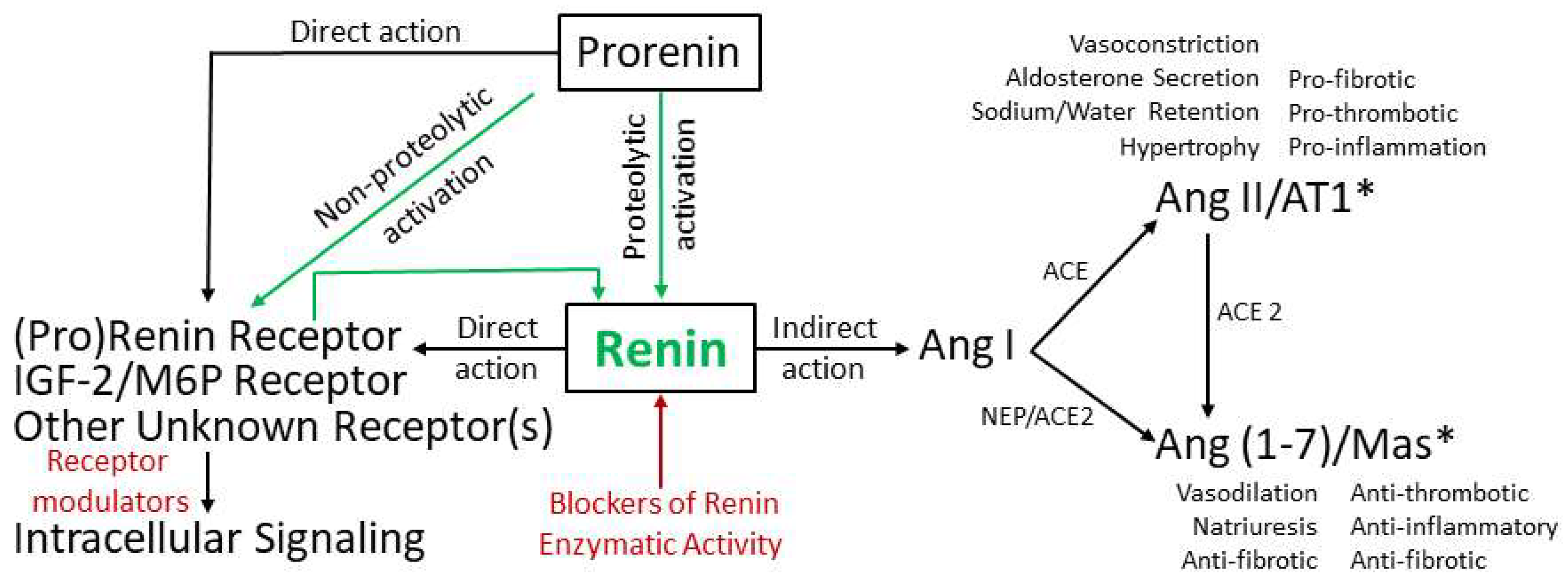 Ijms 20 03182 g001 Ijms 20 03182 g001