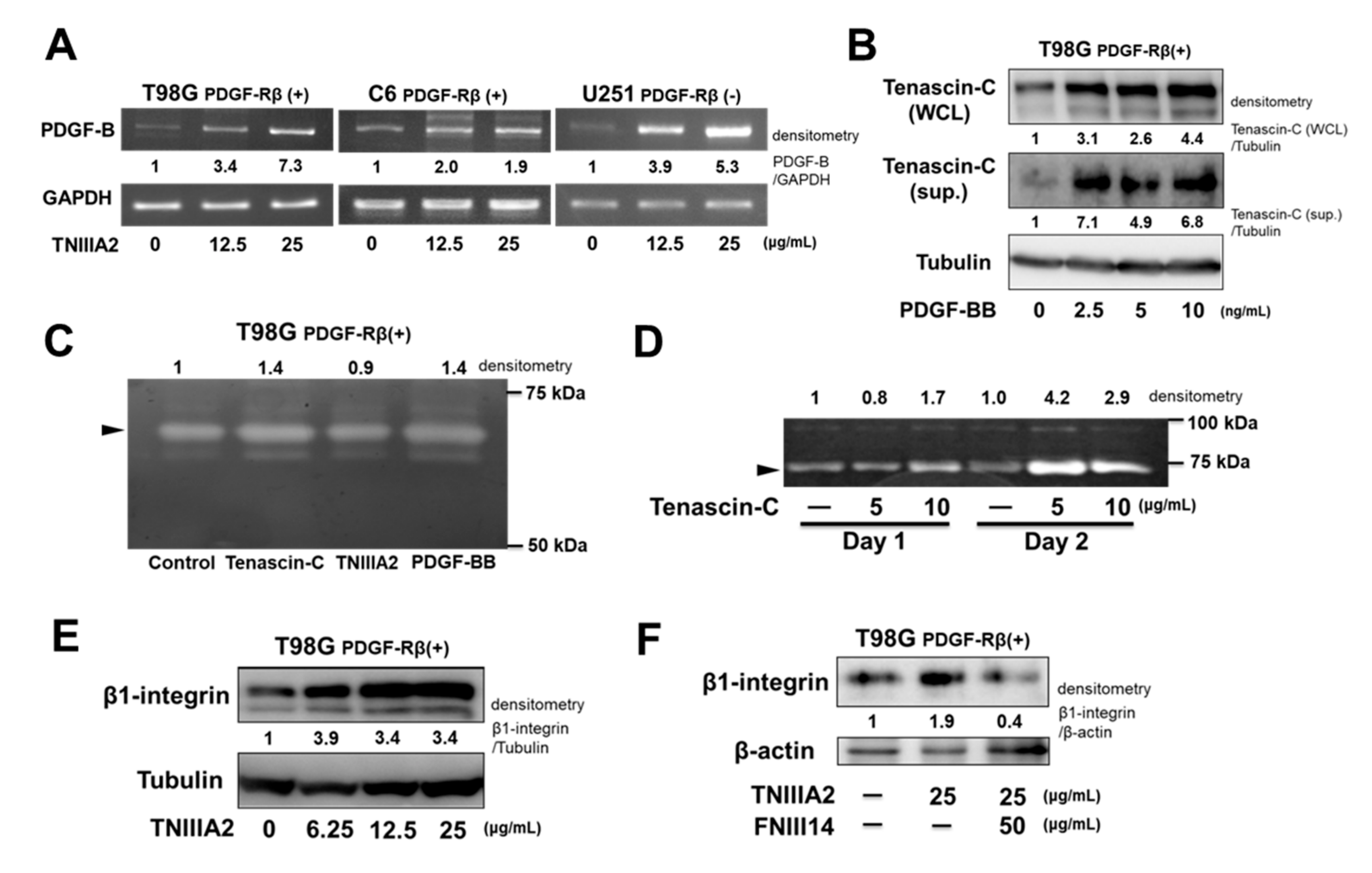 Ijms 20 03183 g003 Ijms 20 03183 g003