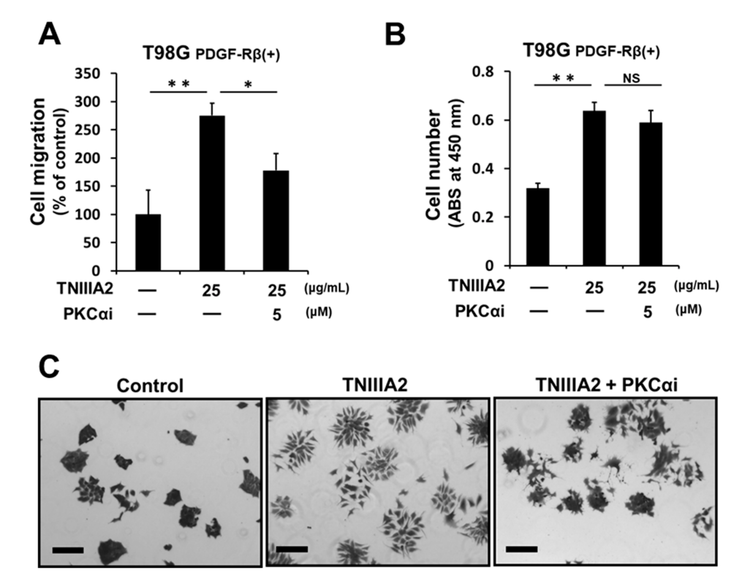 Ijms 20 03183 g005 Ijms 20 03183 g005