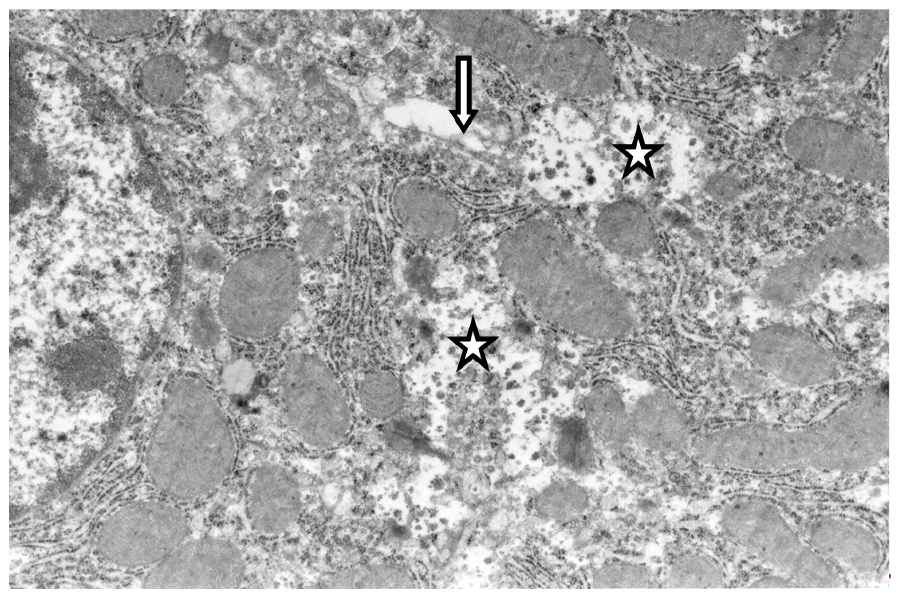 Ijms 20 03189 g001 Ijms 20 03189 g001