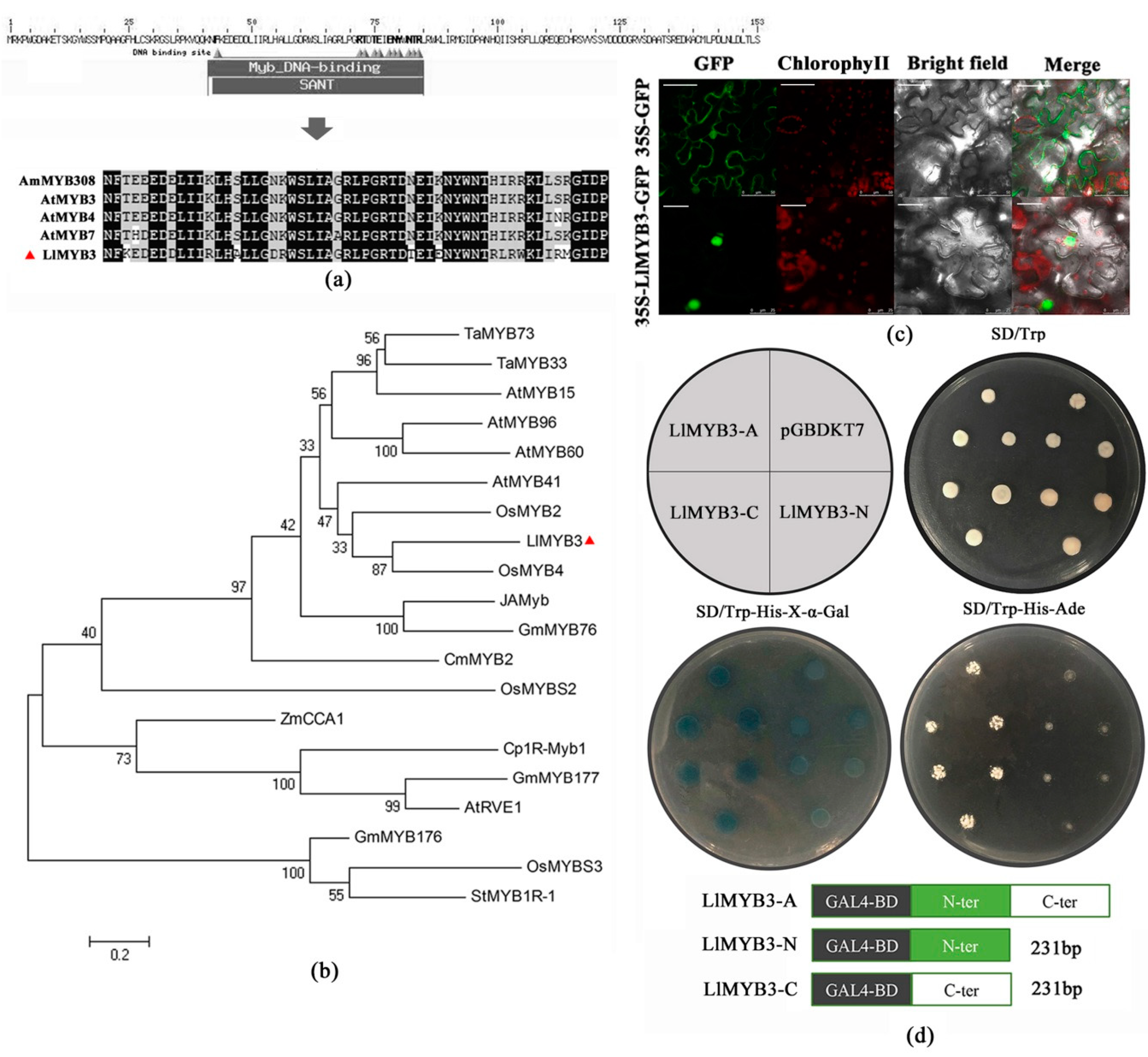 Ijms 20 03195 g001 Ijms 20 03195 g001