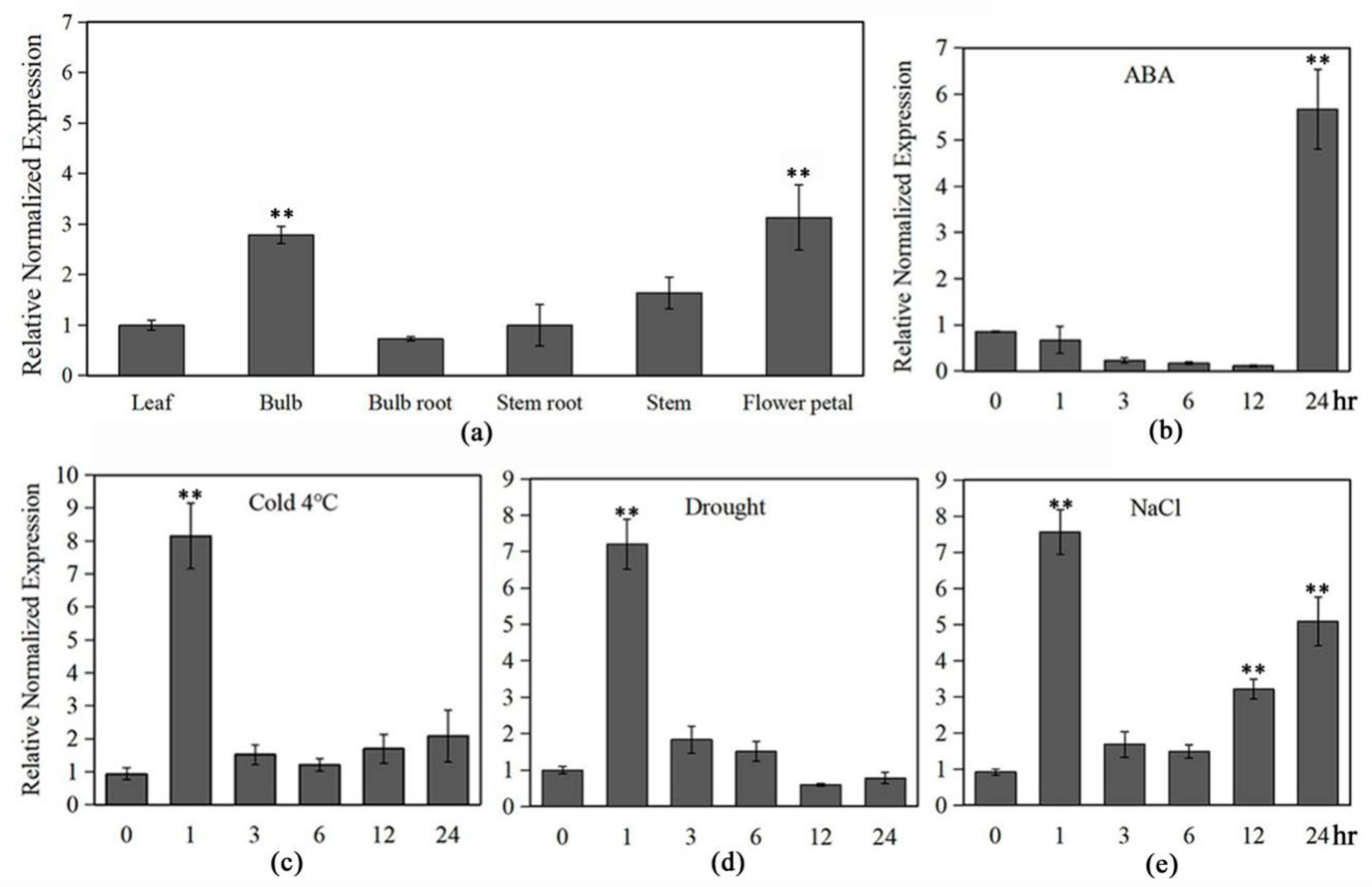 Ijms 20 03195 g002 Ijms 20 03195 g002
