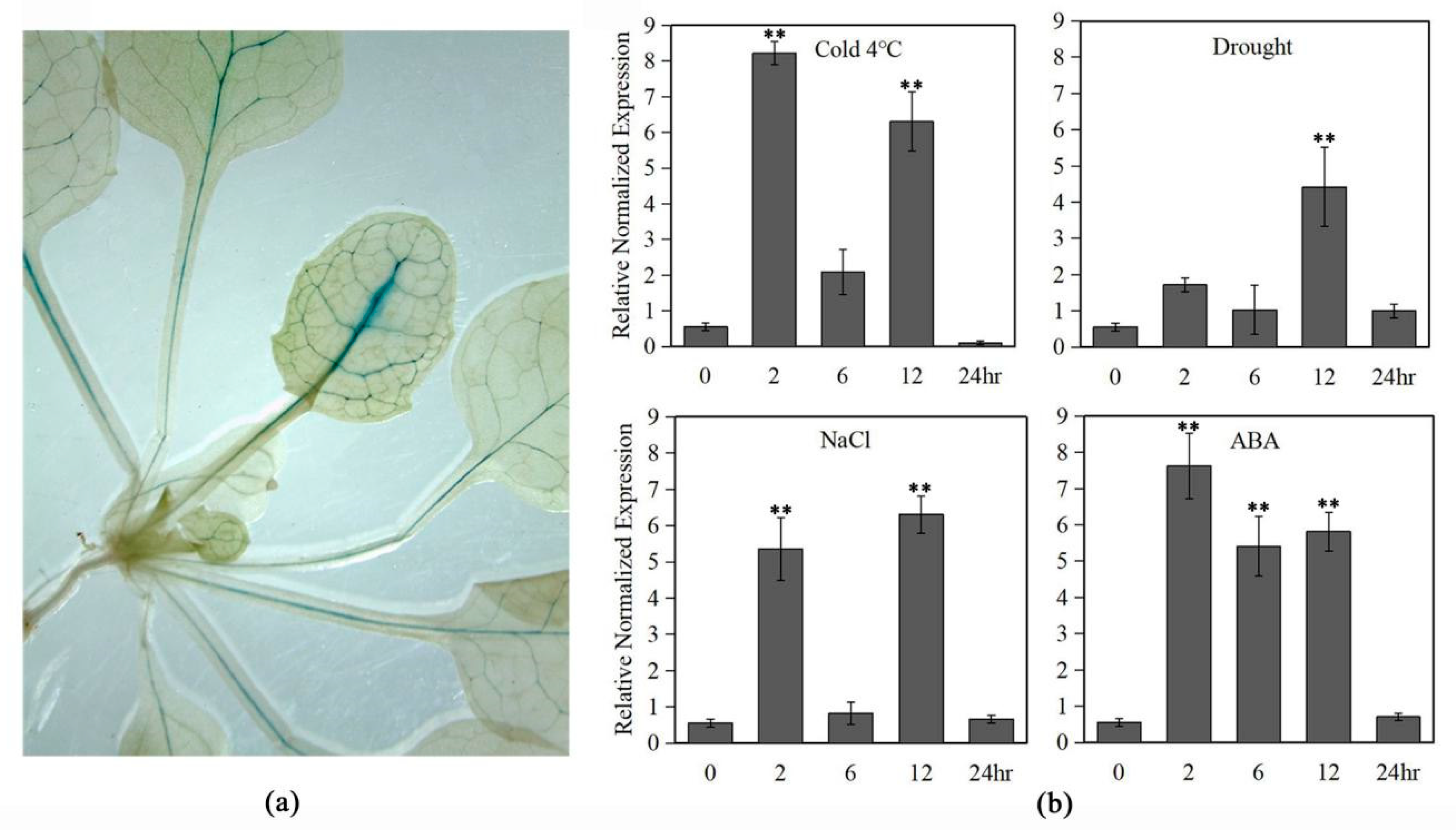 Ijms 20 03195 g003 Ijms 20 03195 g003