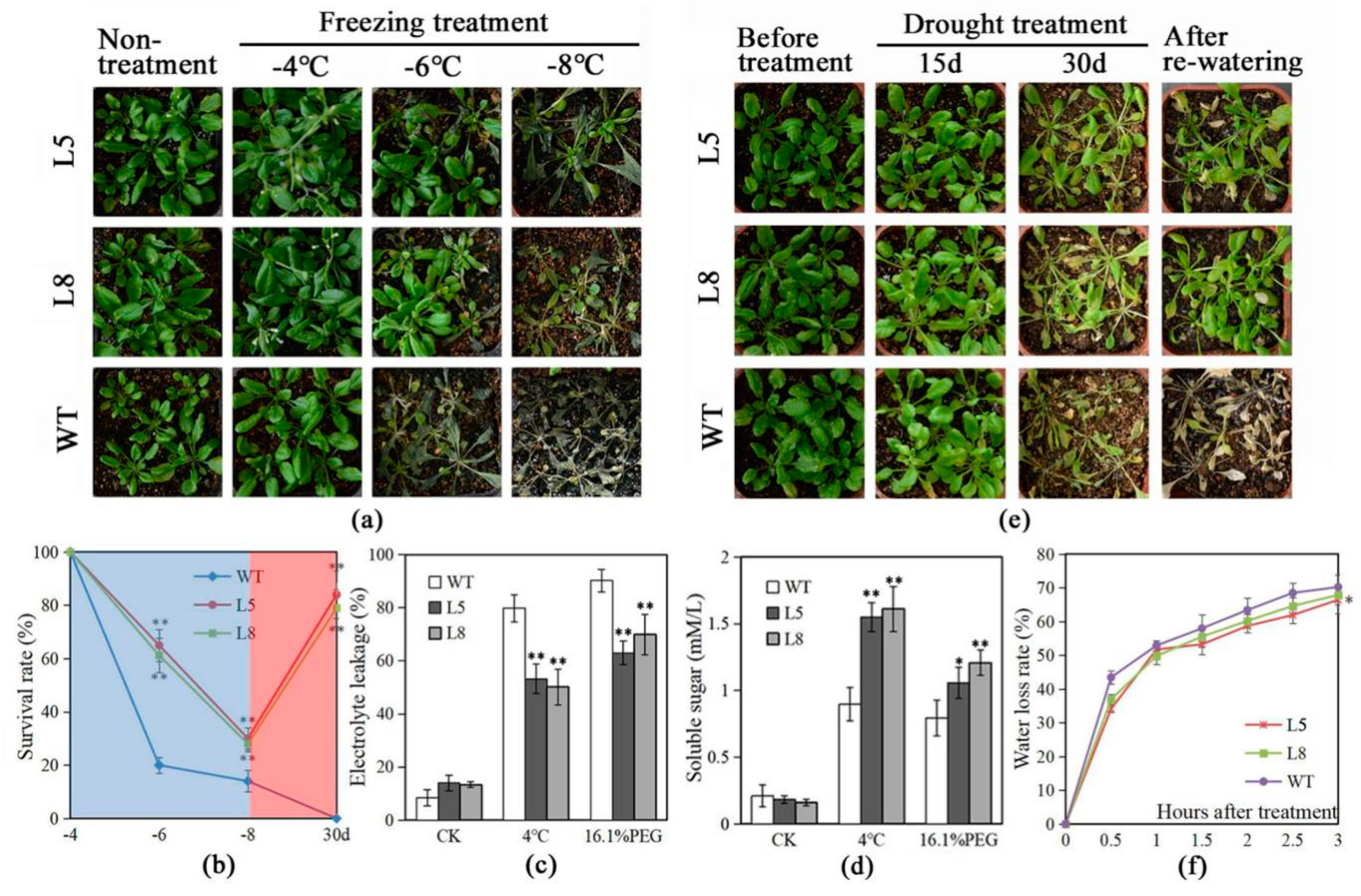 Ijms 20 03195 g004 Ijms 20 03195 g004
