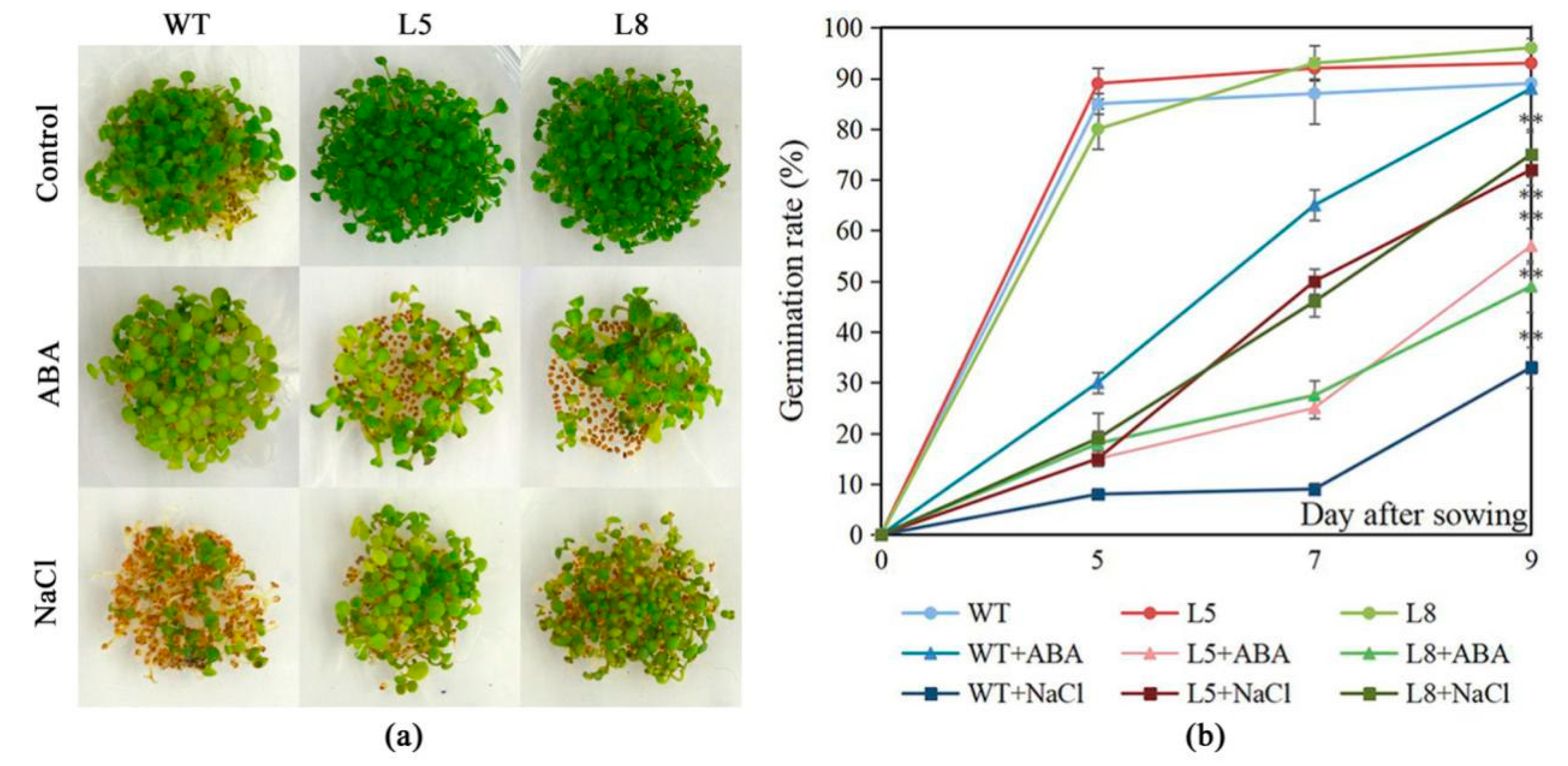 Ijms 20 03195 g005 Ijms 20 03195 g005