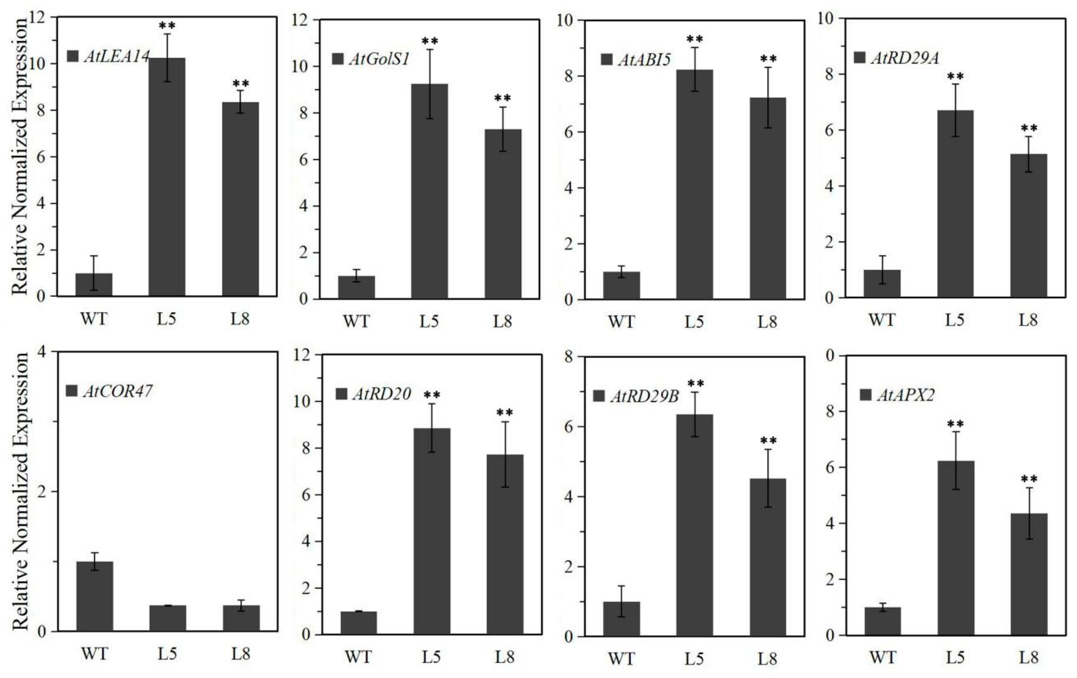 Ijms 20 03195 g006 Ijms 20 03195 g006